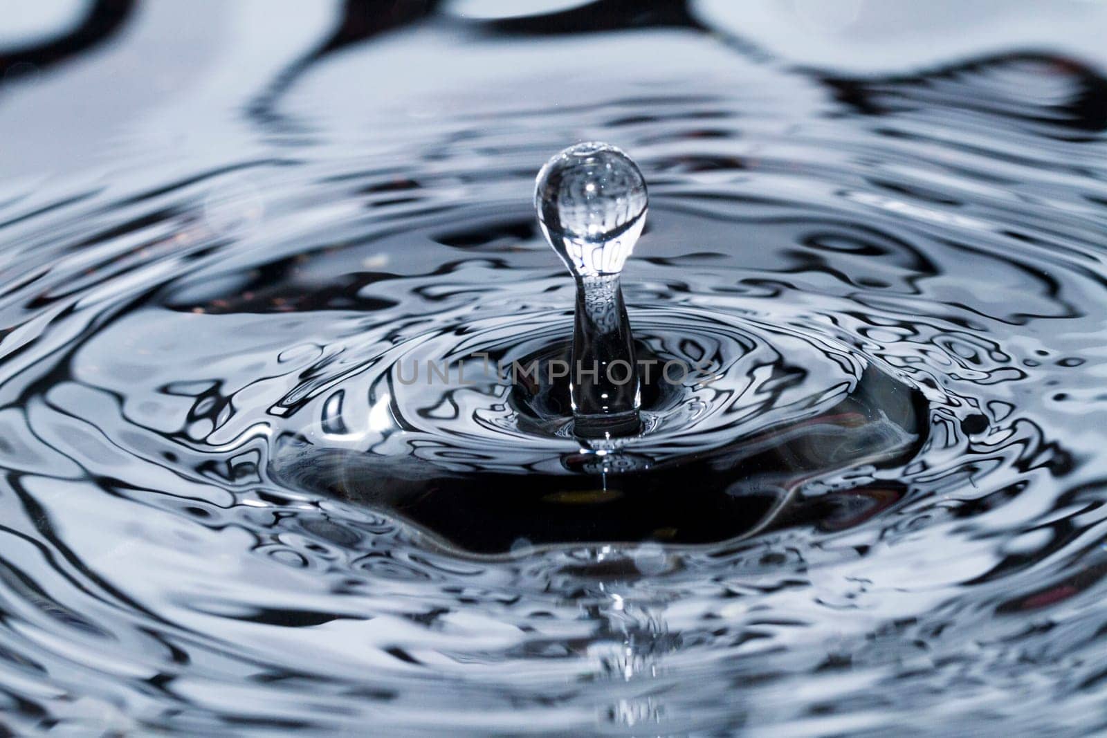 Close view of a droplet of water hitting a surface of water.