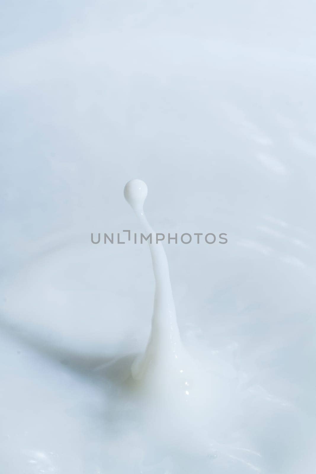 Close view of a droplet of milk hitting a surface of milk.