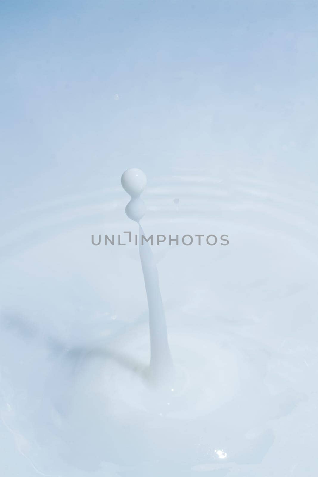 Close view of a droplet of milk hitting a surface of milk.