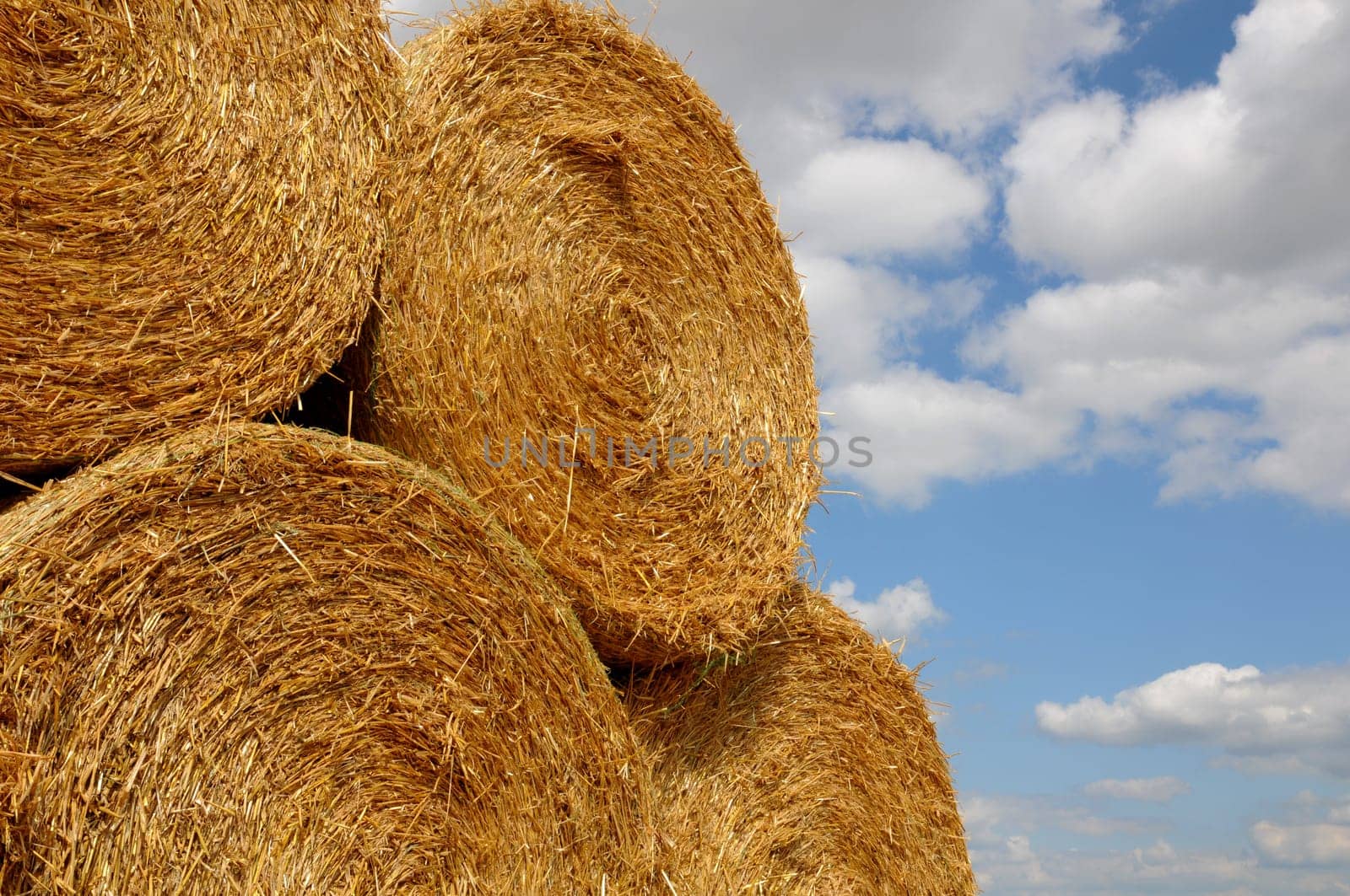 Round bales