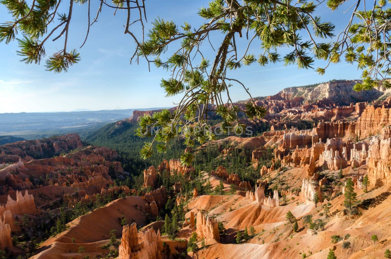 Bryce Canyon National Park in Utah