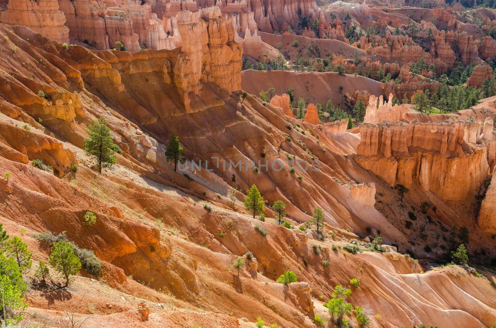 Bryce Canyon National Park in Utah