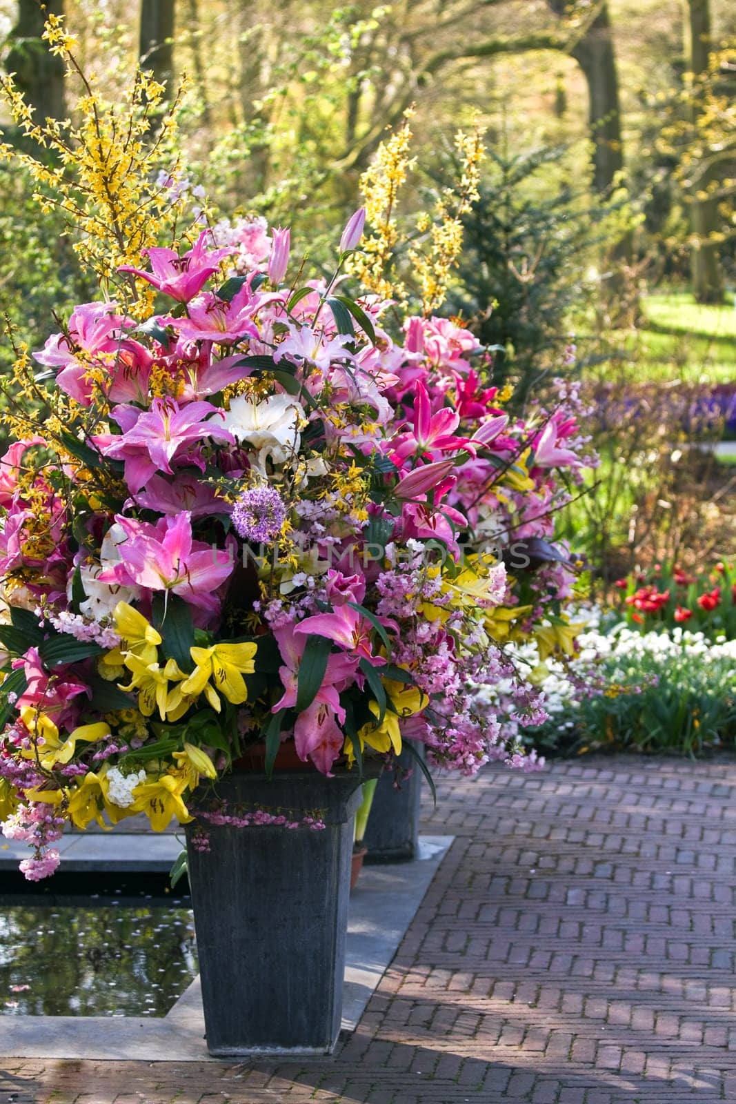 Big vases made up with colorful lilies and spring flowers in early morning sun