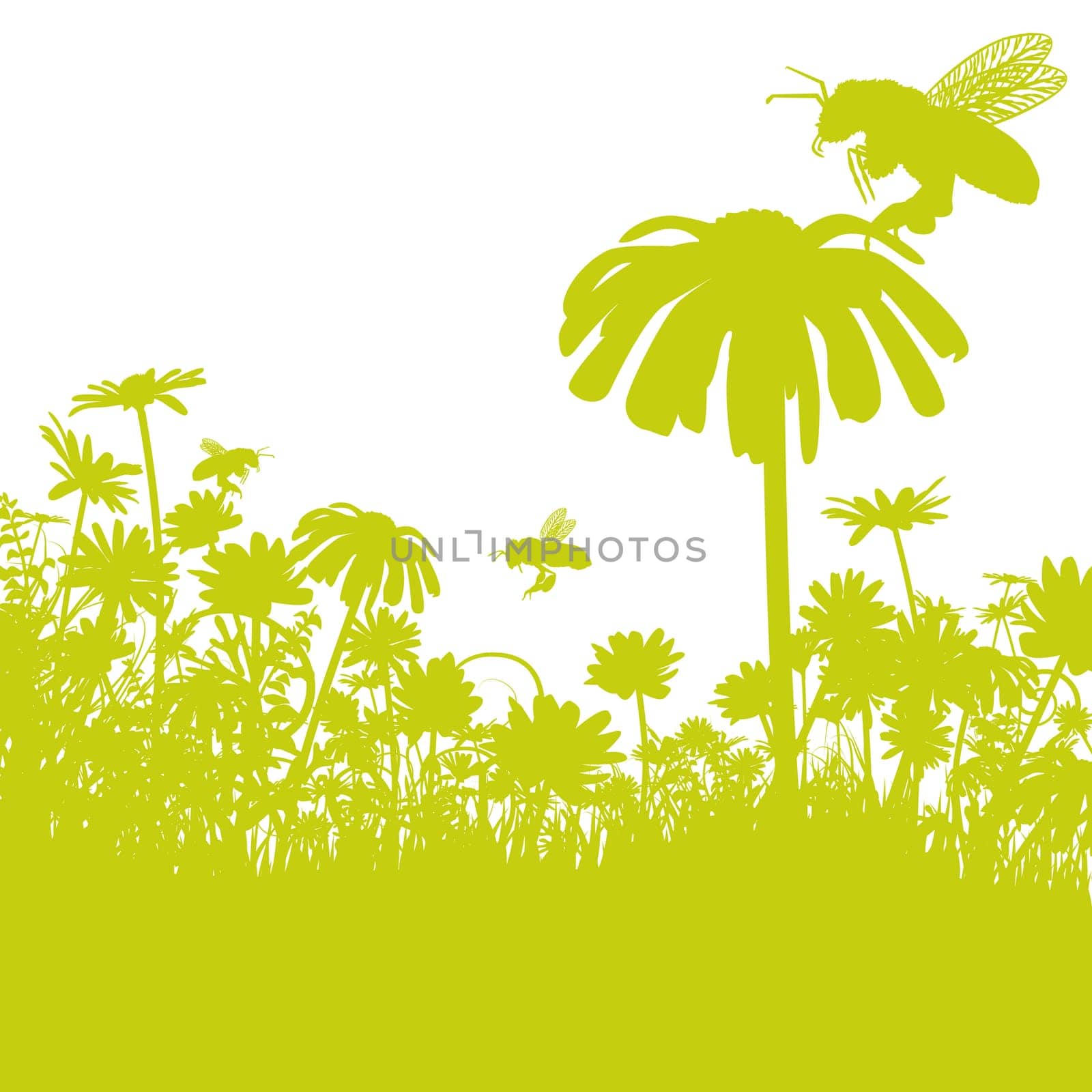 Bees pollinating flowers