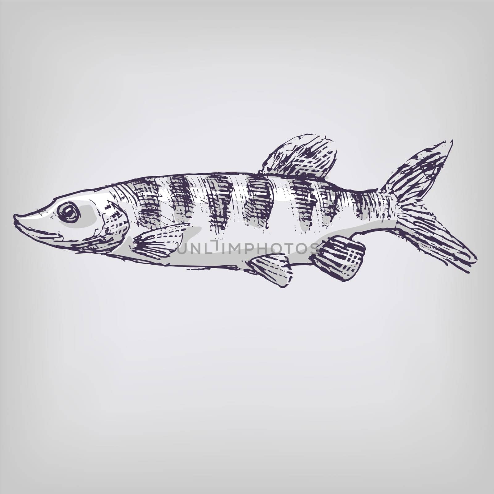Drawing pike