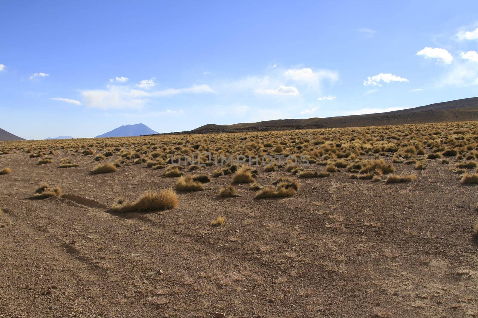 Eduardo Alveroa, Uyuni Bolivia