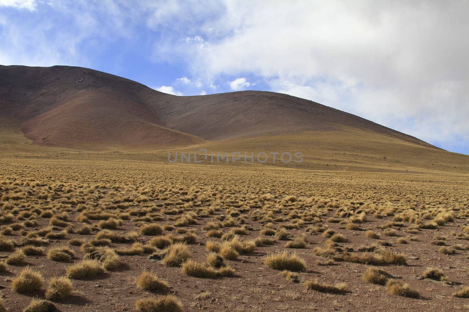 Eduardo Alveroa, Uyuni Bolivia