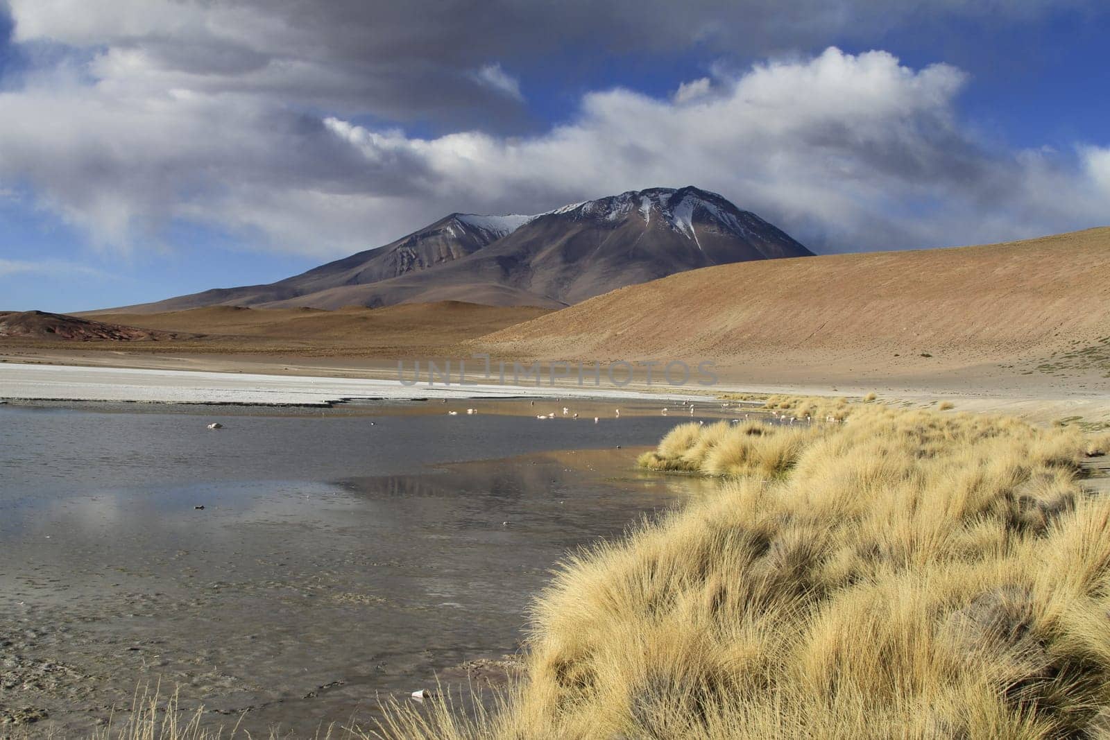 Eduardo Alveroa, Uyuni Bolivia