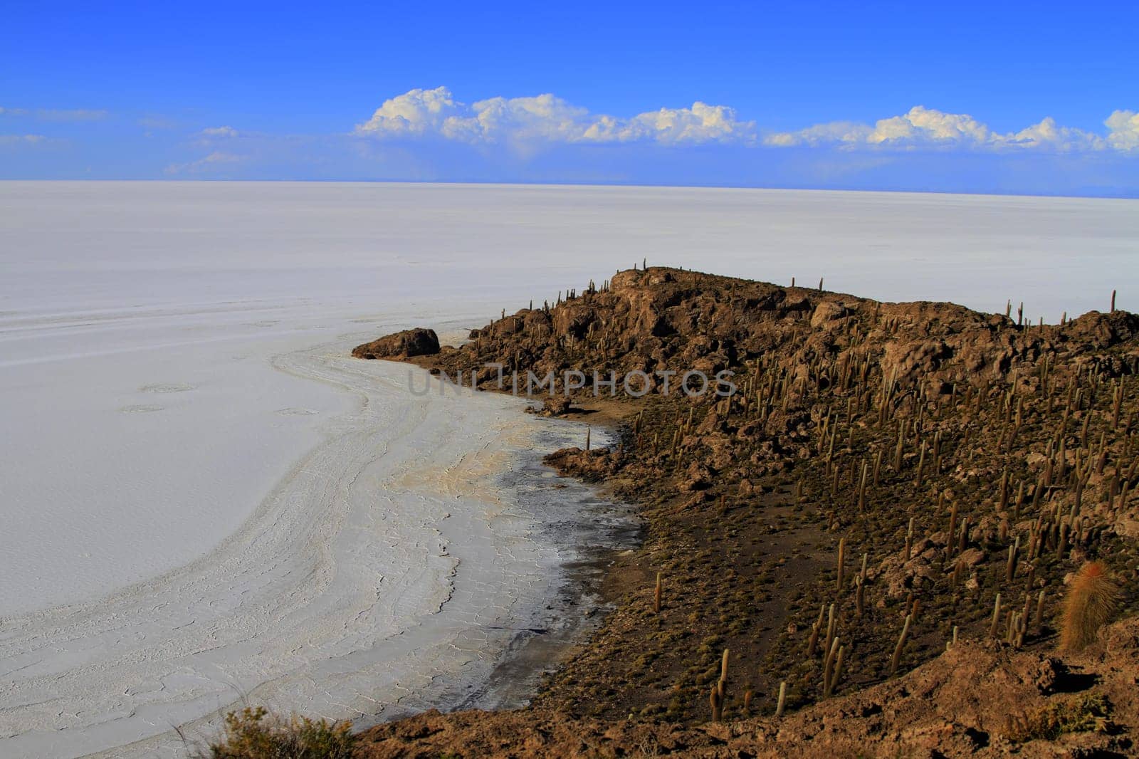 Parque Incahuasi, Salar De Uyuni Bolivia
