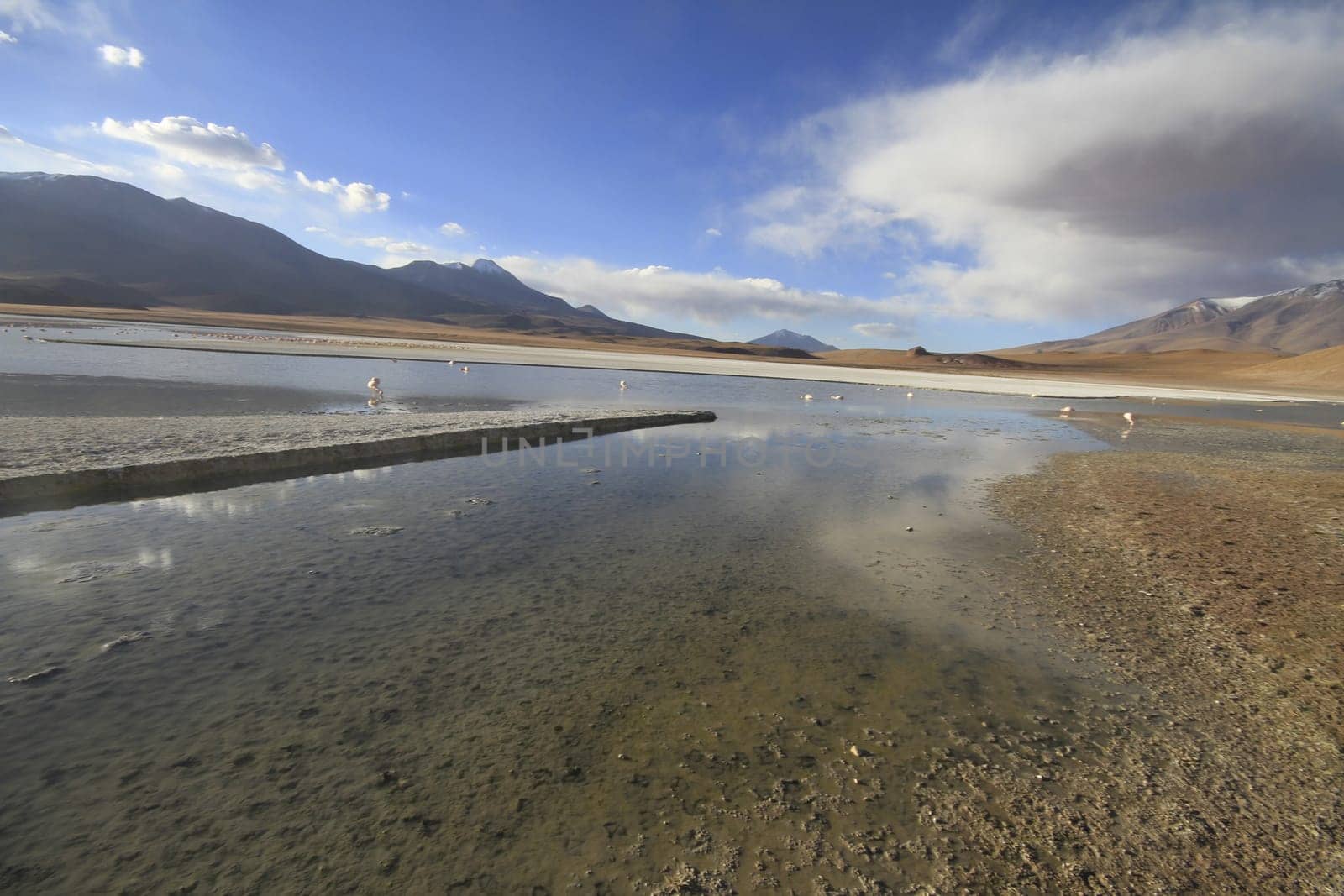 Eduardo Alveroa, Uyuni Bolivia