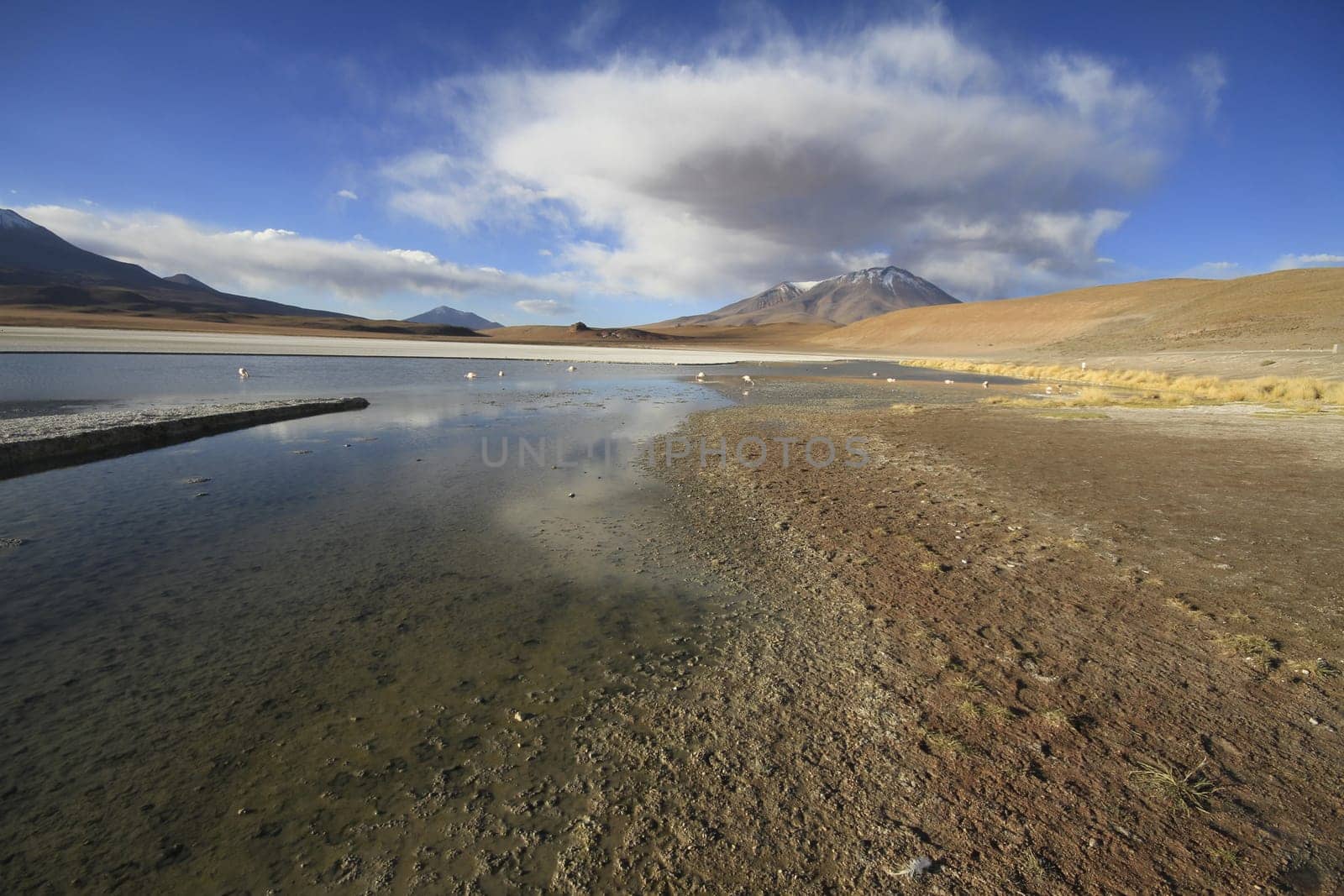 Eduardo Alveroa, Uyuni Bolivia
