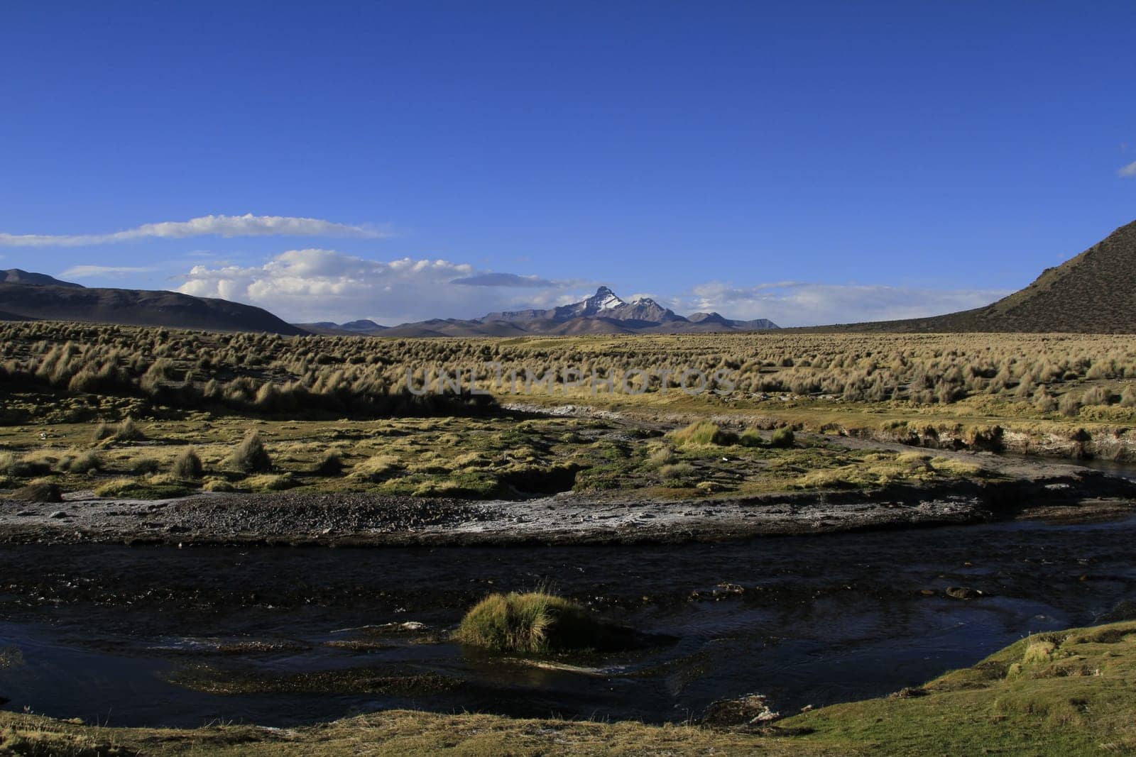 Parque Nacional Sajama