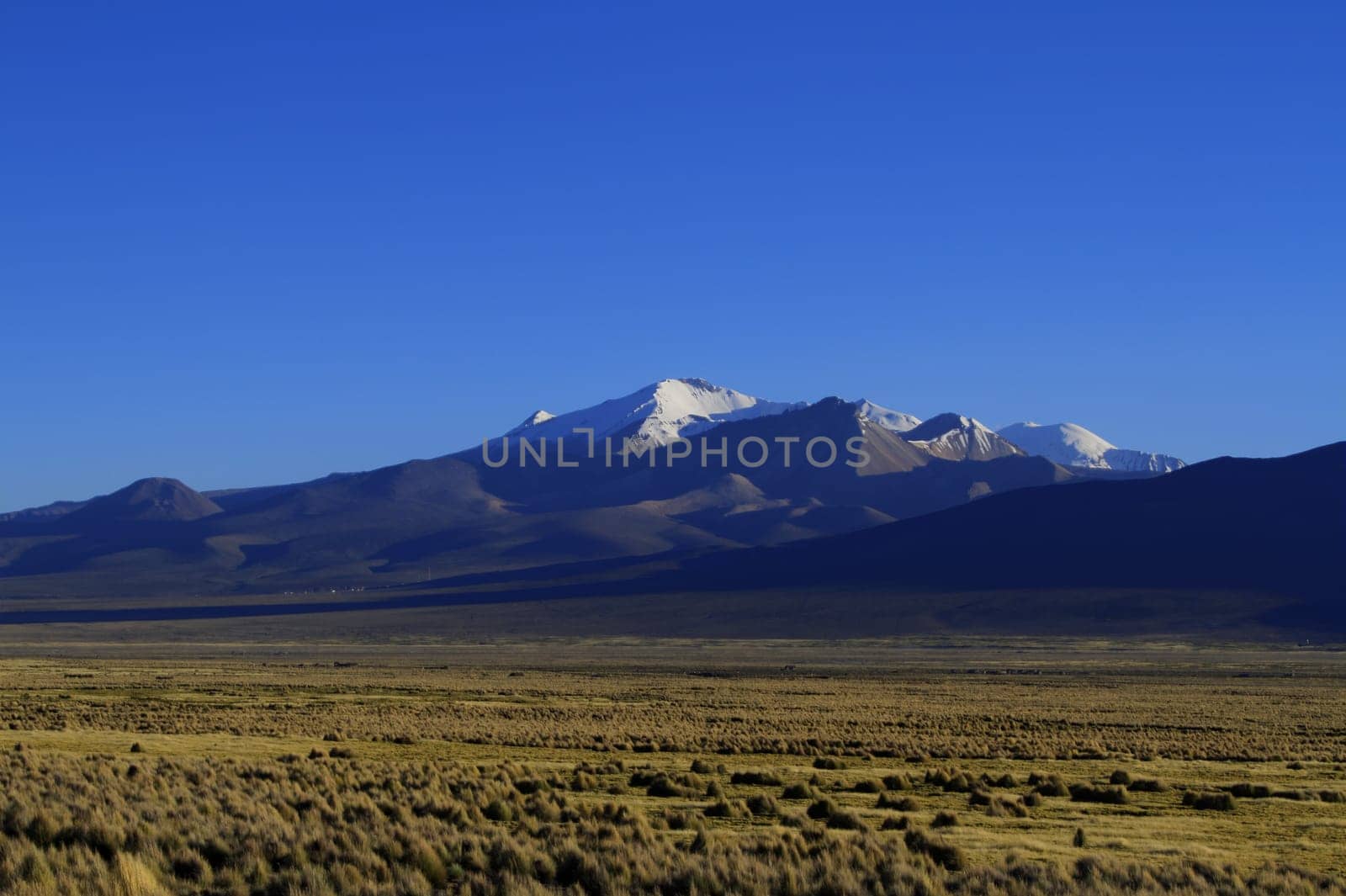 Parque Nacional Sajama
