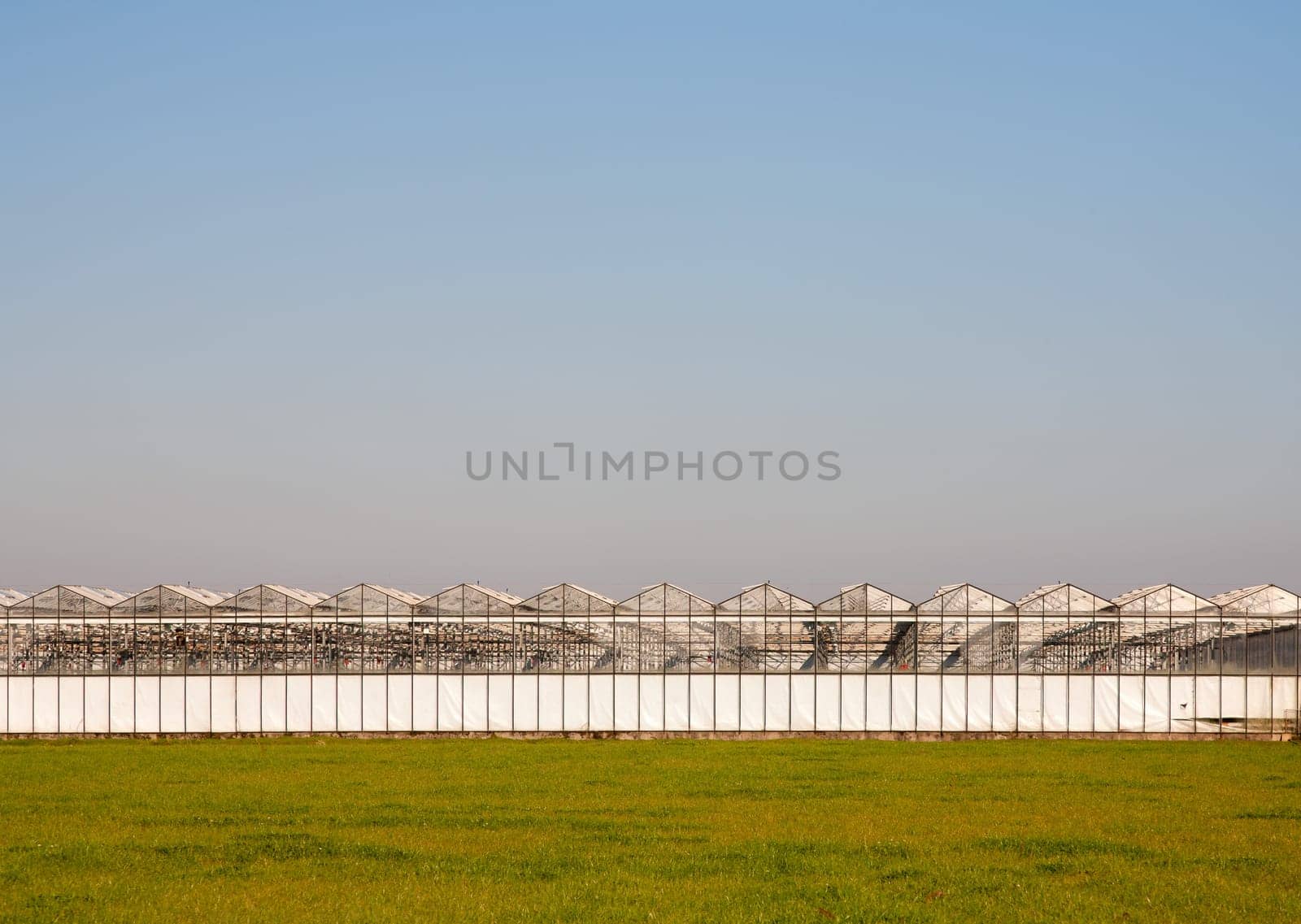 Greenhouse in a green field under a clear blue sky