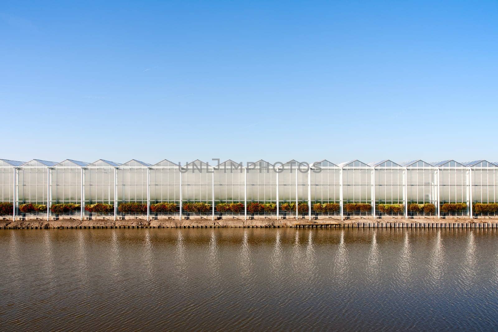 Roof of a greenhouse under a clear blue sky