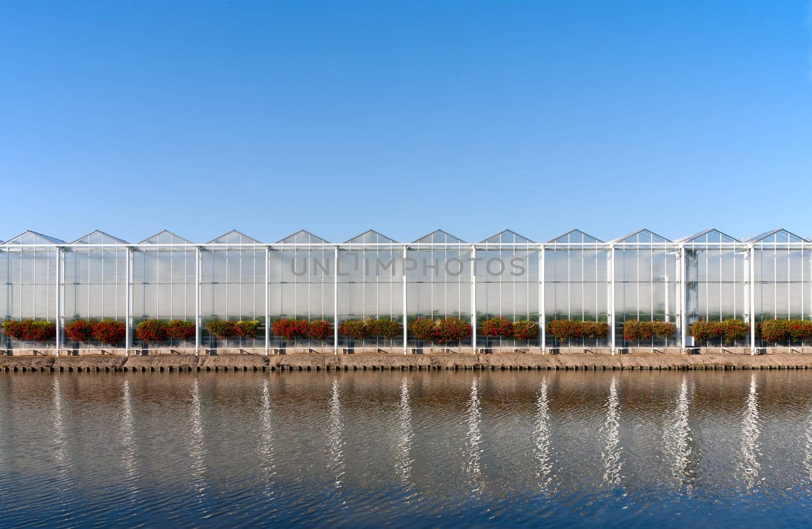 Roof of a greenhouse under a clear blue sky