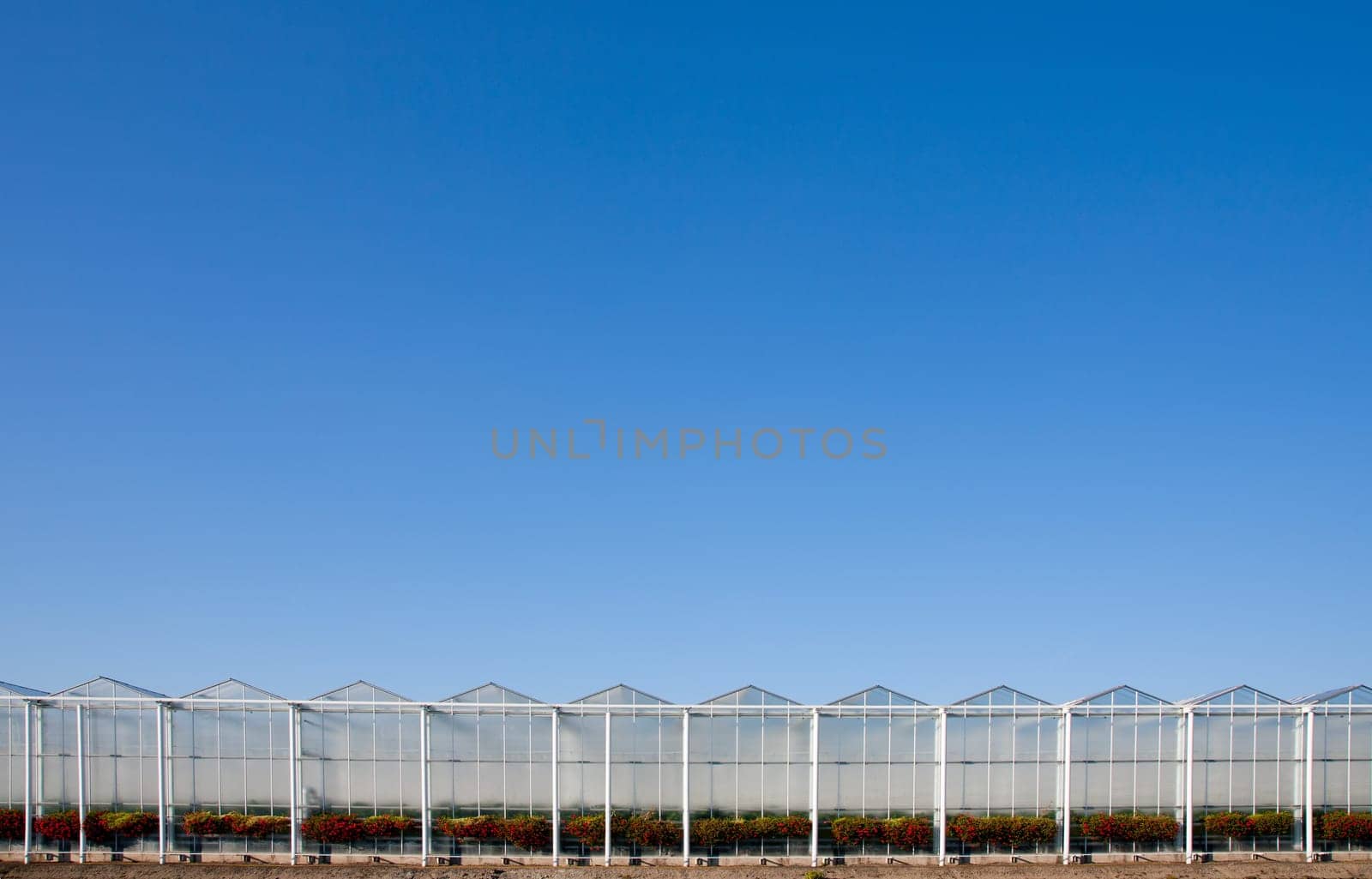 Roof of a greenhouse under a clear blue sky