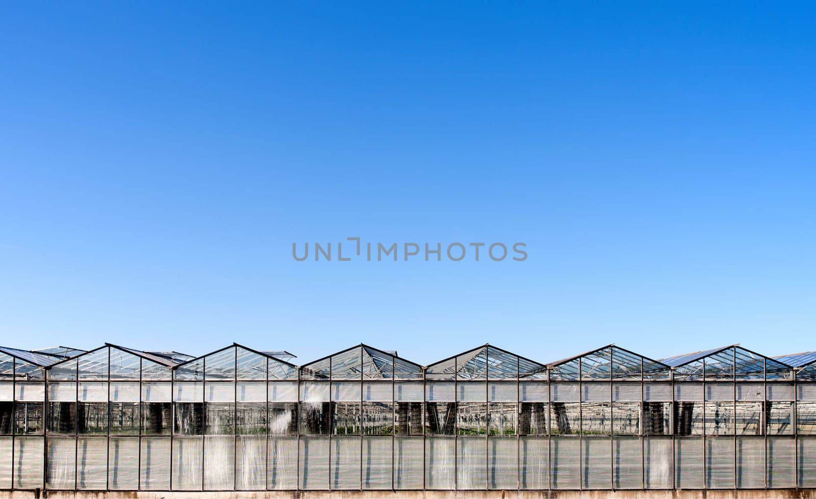 Roof of a greenhouse under a clear blue sky