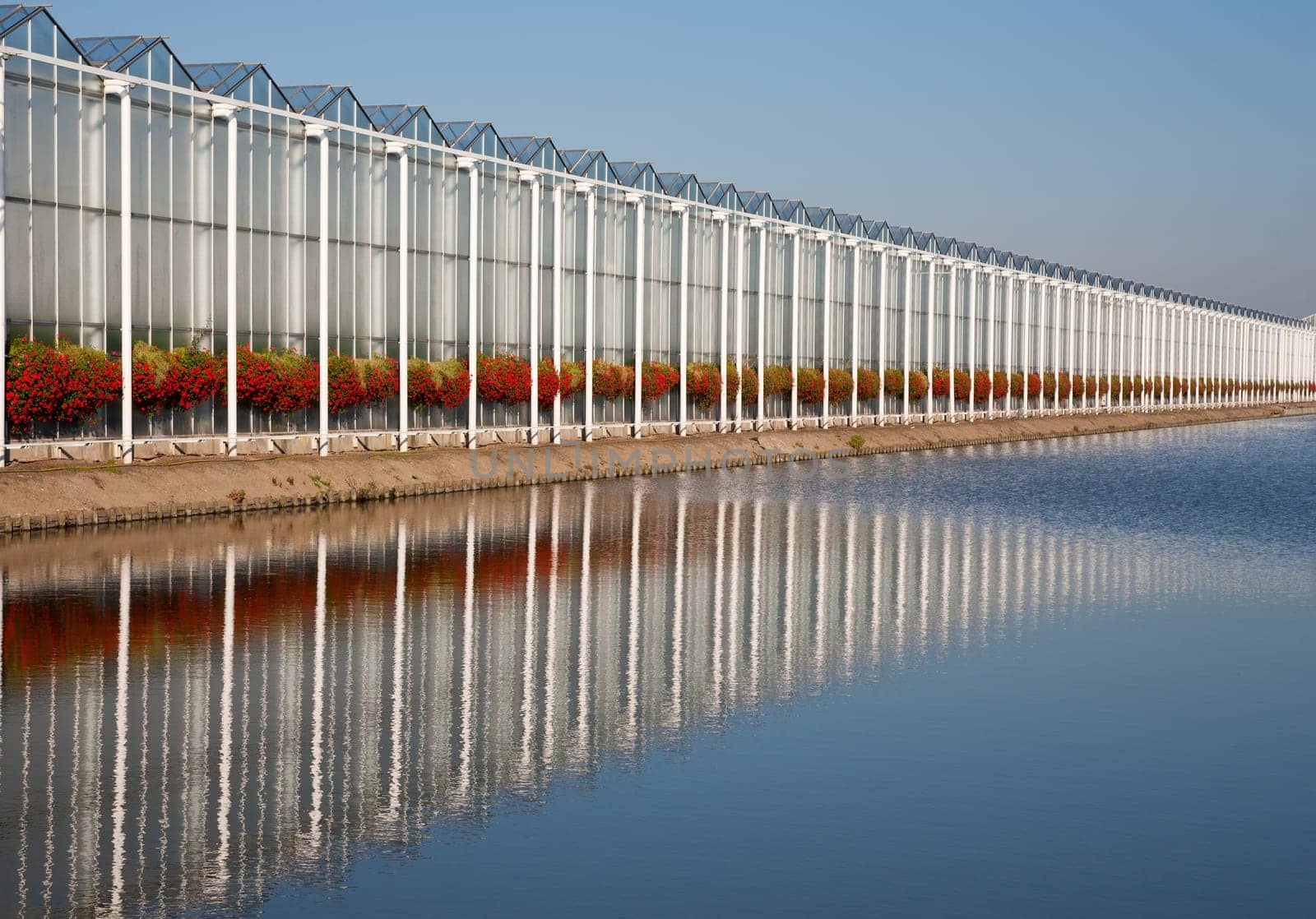 Roof of a greenhouse under a clear blue sky