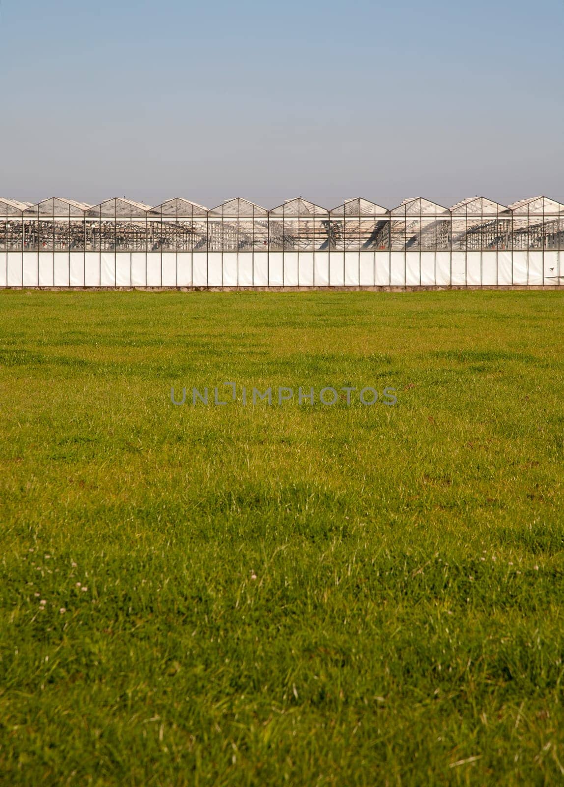 Greenhouse in a green field under a clear blue sky