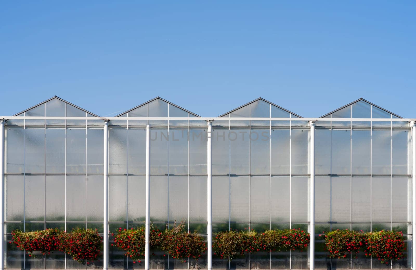 Roof of a greenhouse under a clear blue sky