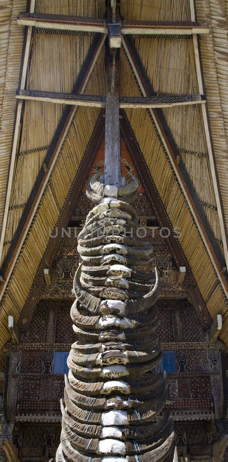 Buffalo horns stuck on the front of traditonal Torjaja houses