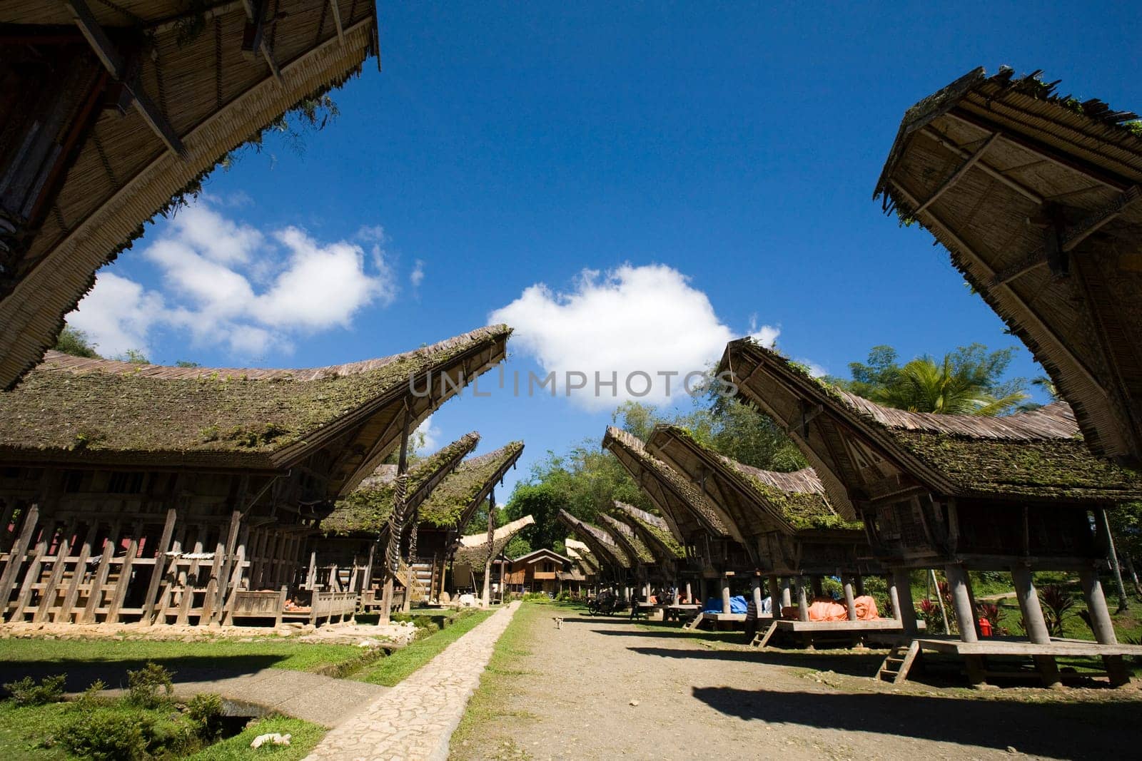 Toraja village with traditional houses in a row, Toraja, Sulawesi, Indonesia