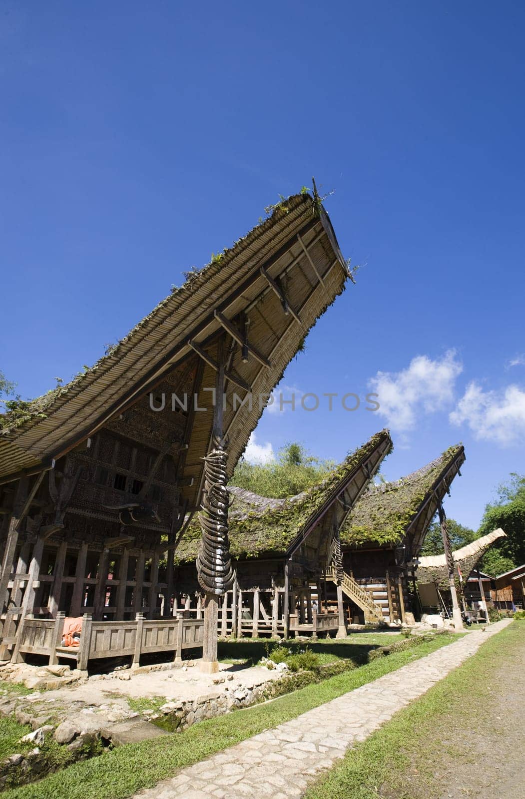 Toraja house roofs in a row, Sulawesi, Indonesia