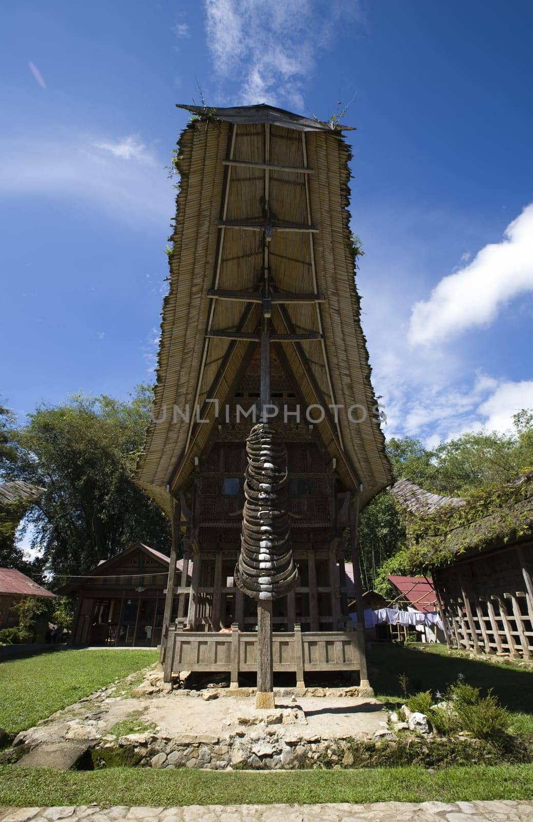 Traditional house (tongkonan) in Tana Toraja, Sulawesi, Indonesia