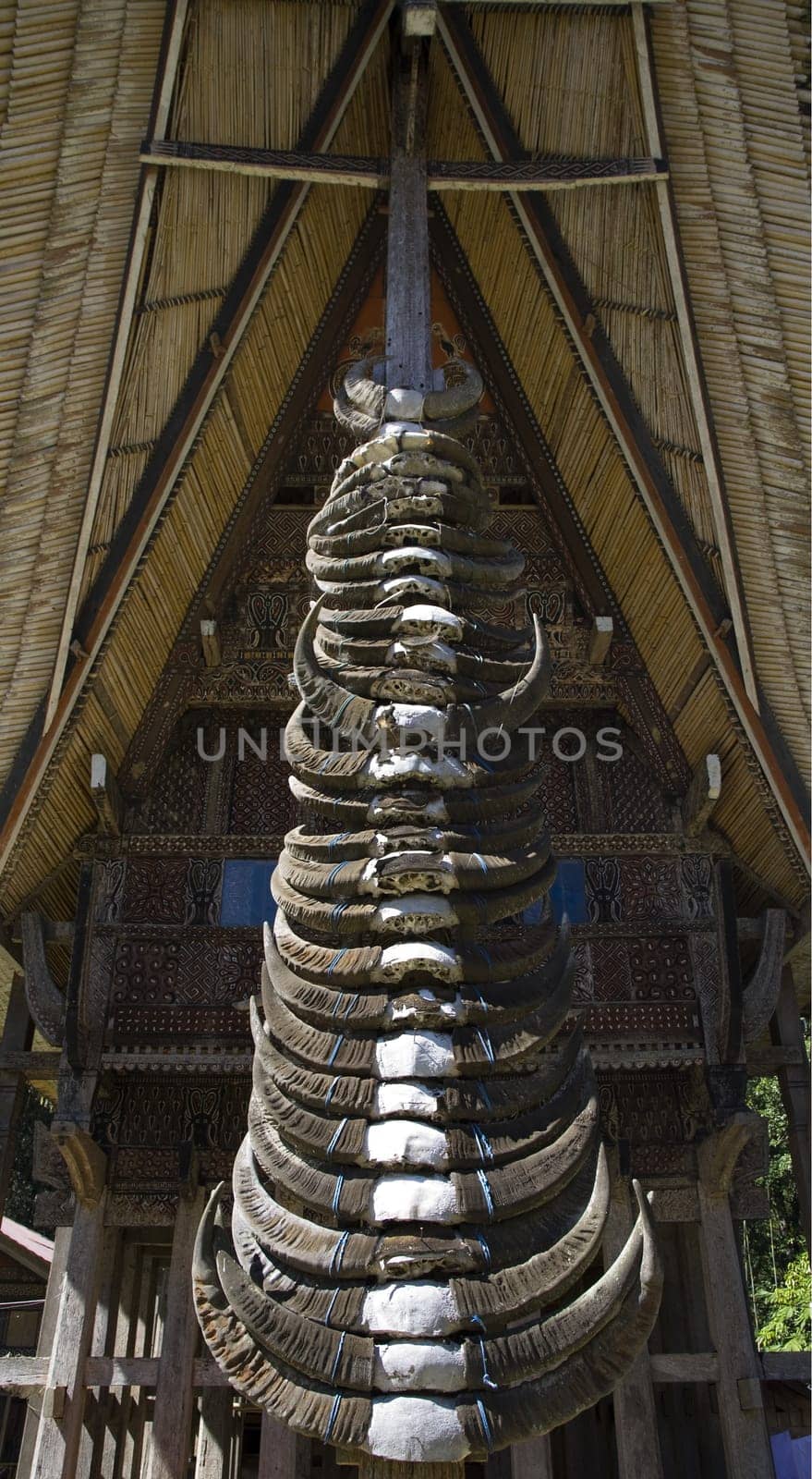 Buffalo horns stuck on the front of traditonal Torjaja houses