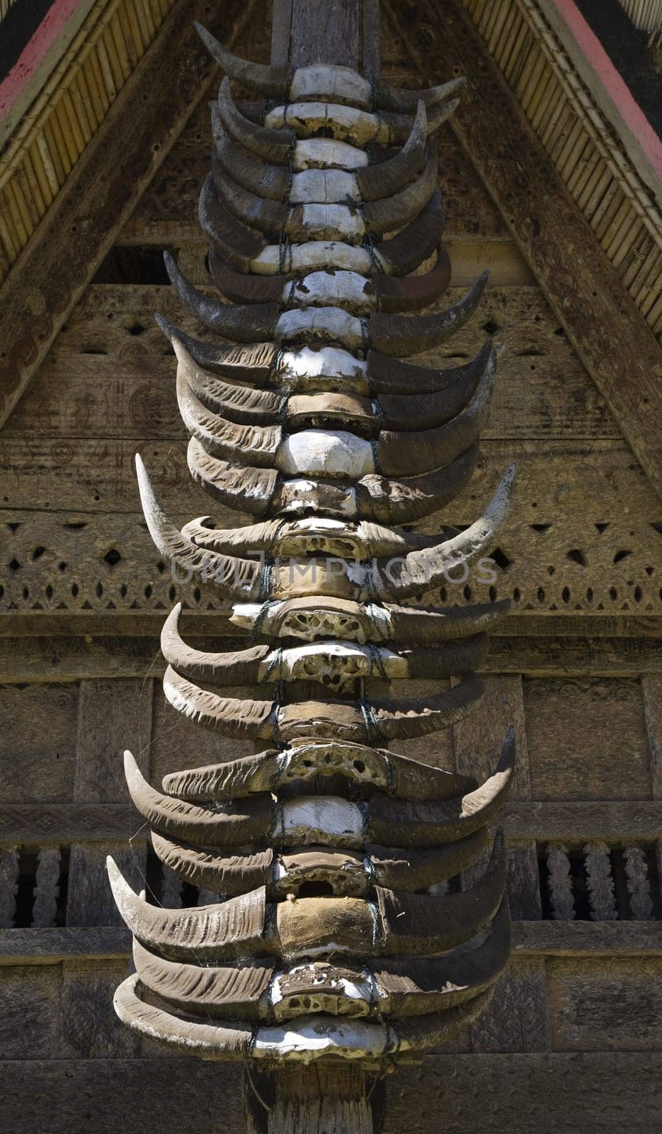 Buffalo horns stuck on the front of a traditional Toraja house