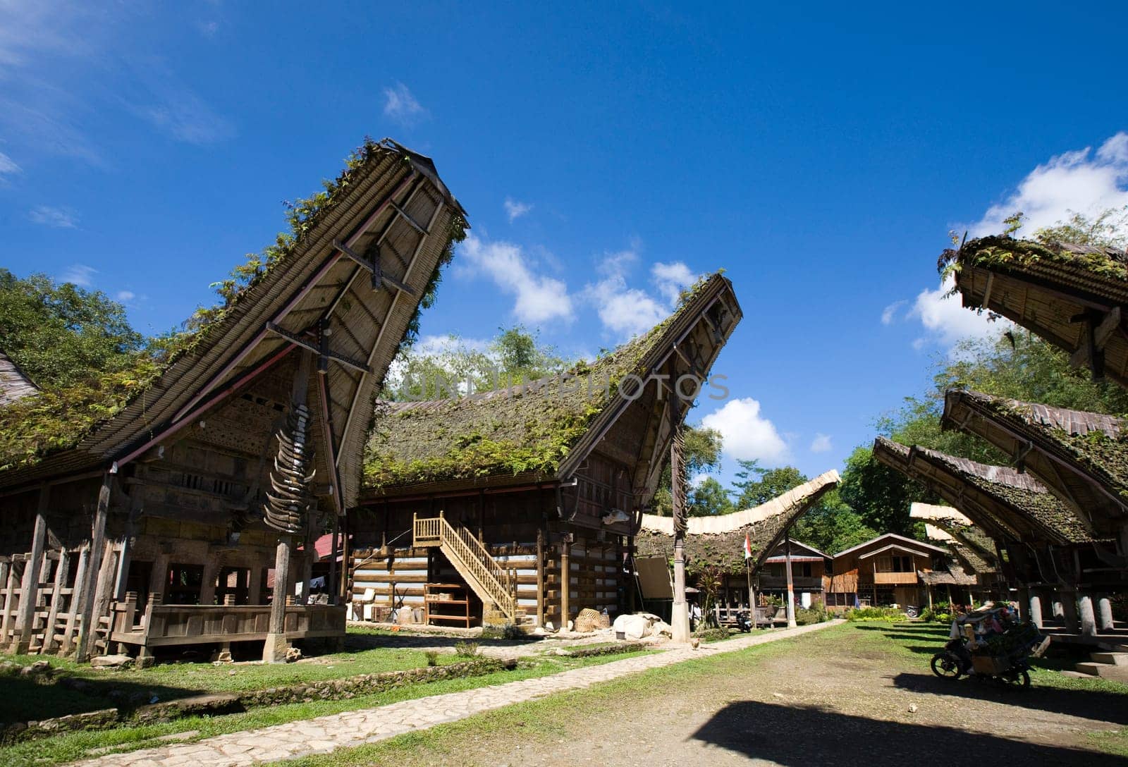 Toraja house roofs in a row, Sulawesi, Indonesia
