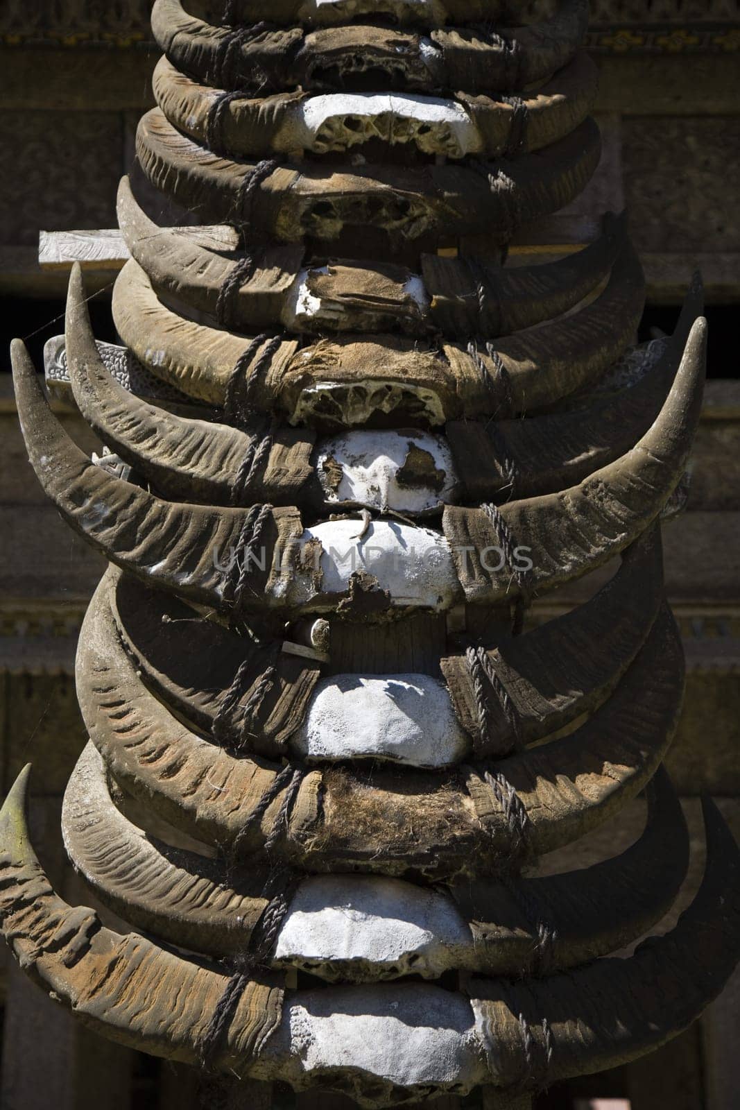 Buffalo horns stuck on the front of a traditional Toraja house