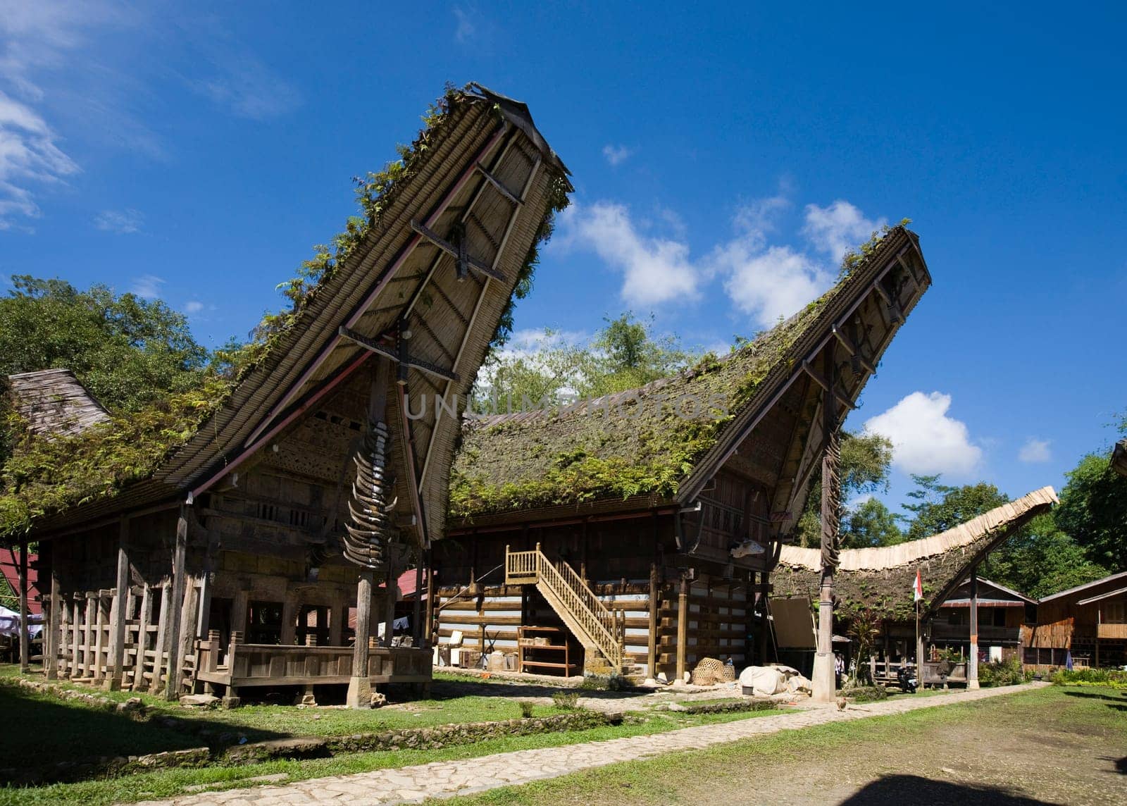 Toraja village with traditional houses in a row, Toraja, Sulawesi, Indonesia
