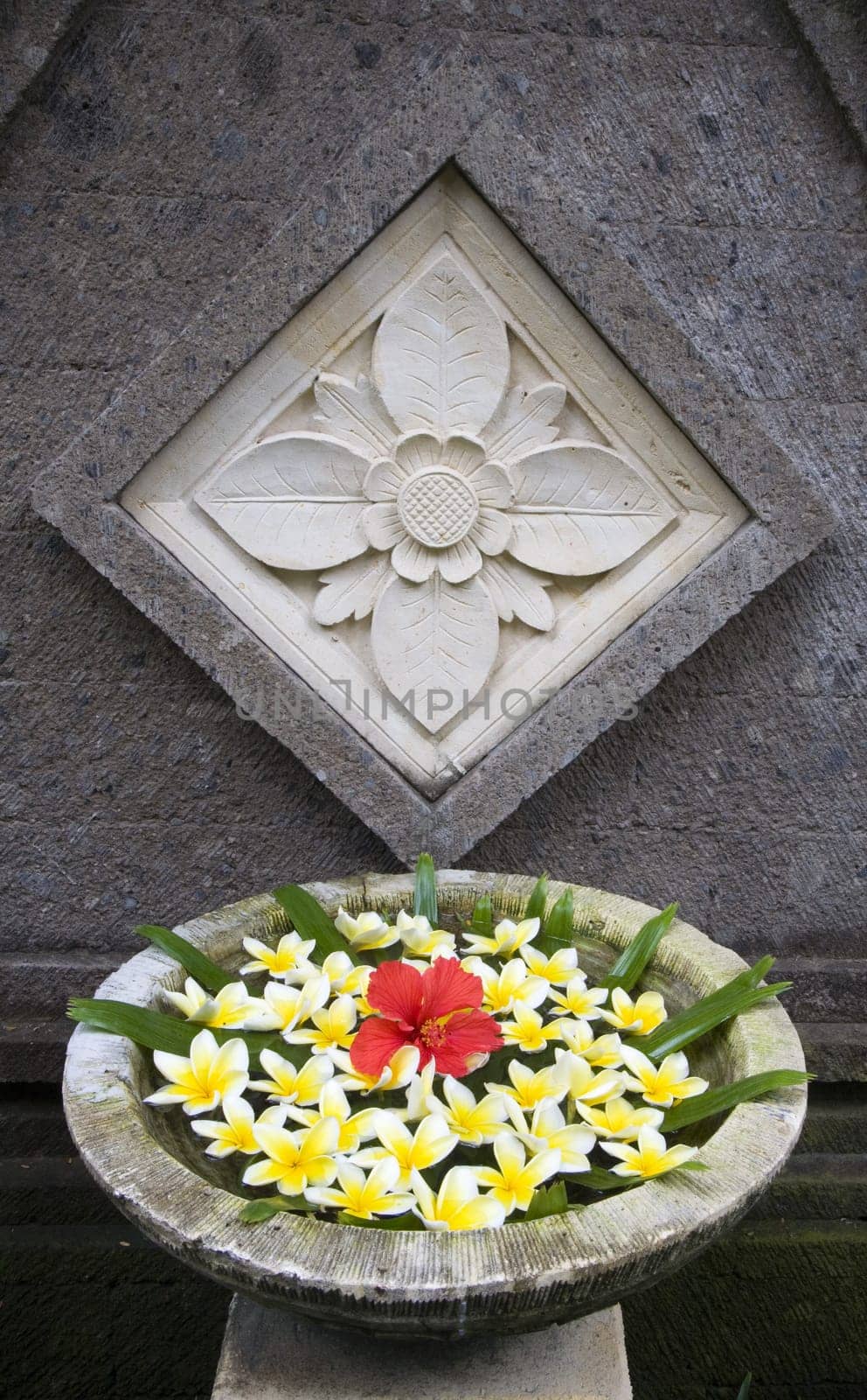 Flower arrangement with frangipani on Bali, Indonesia