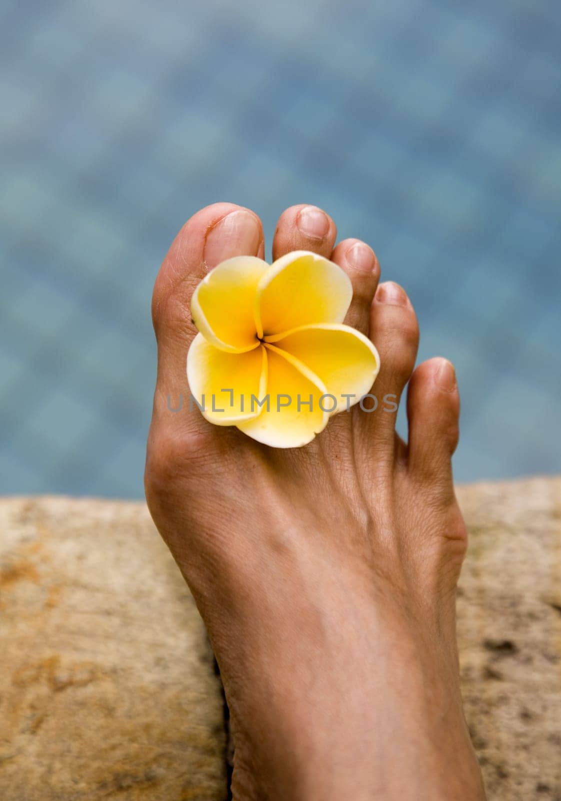 Relaxing on the side of the swimming pool