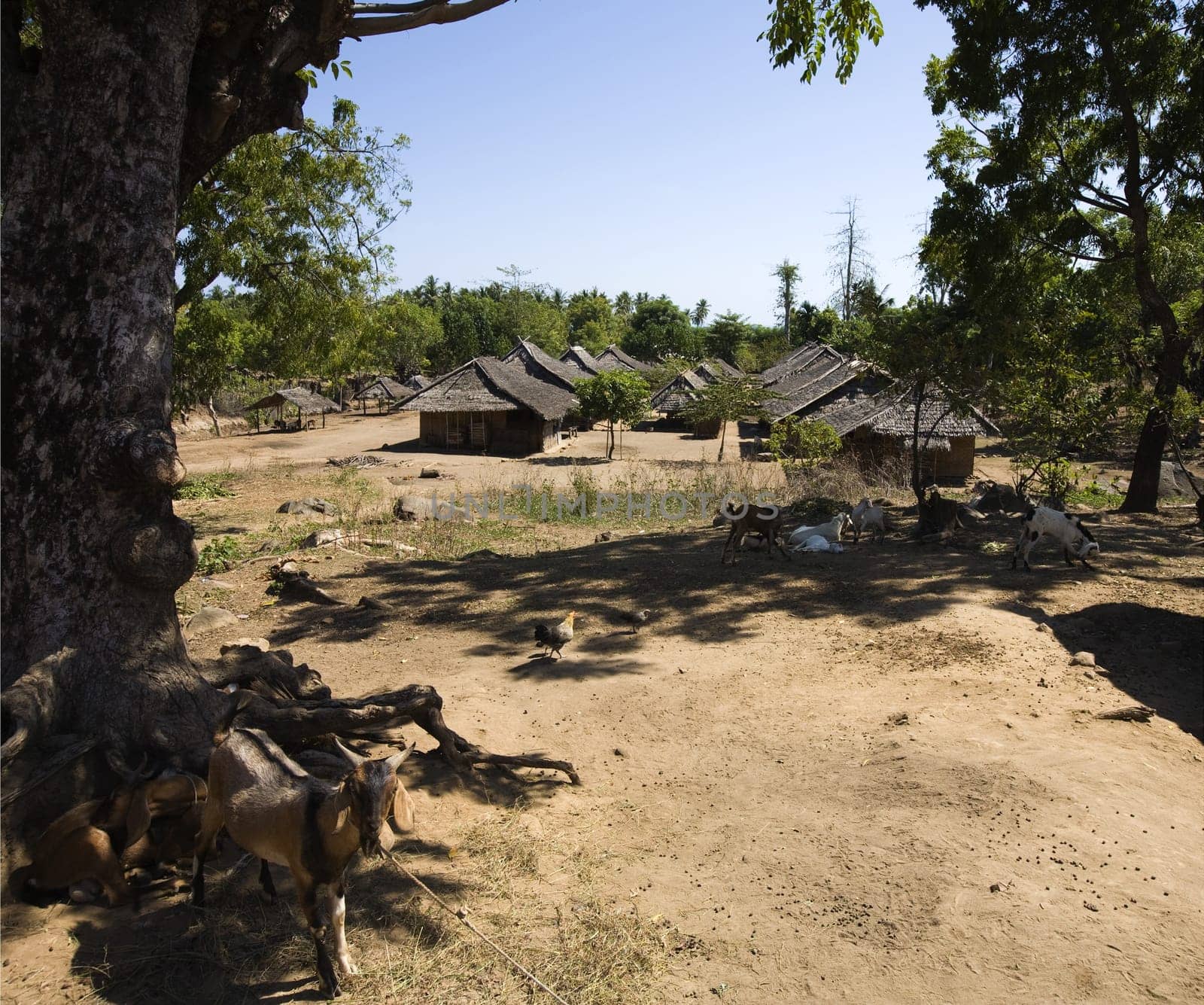 Traditional village in Lombok, Indonesia