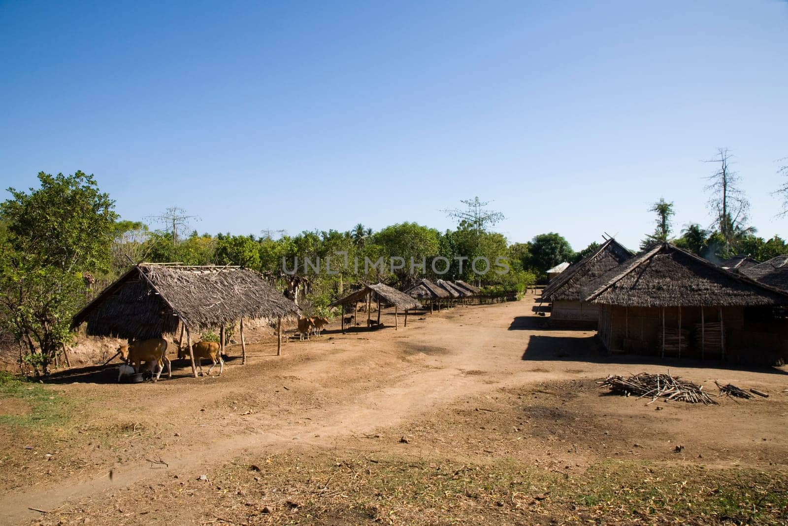 Traditional village in Lombok, Indonesia