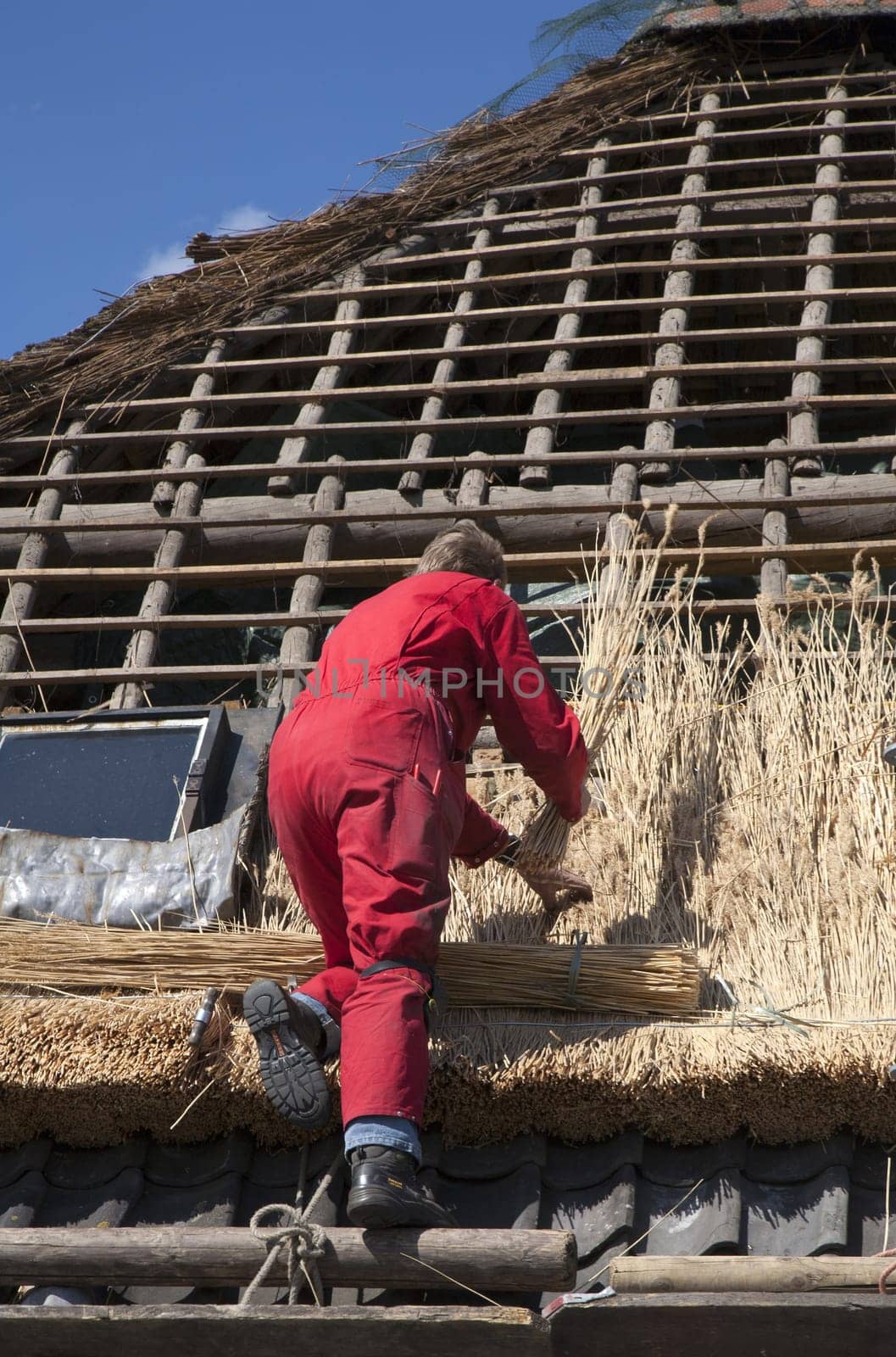 Workman thatching a new roof