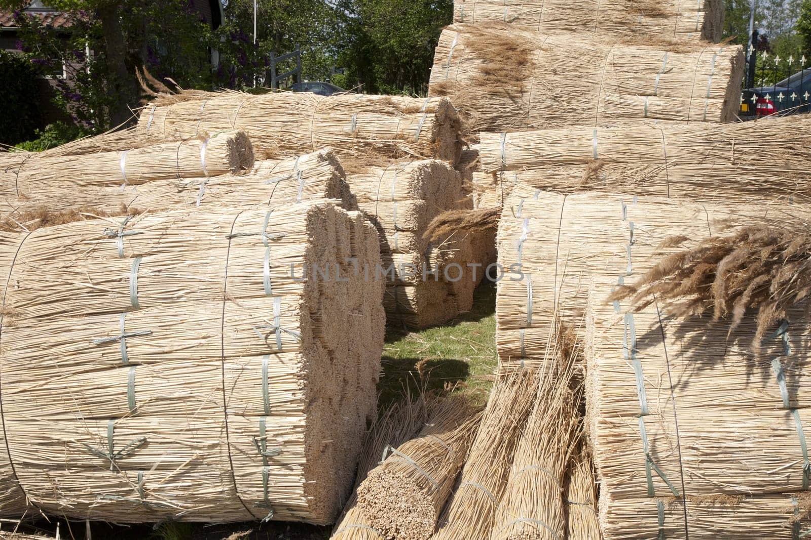 Big bundles of dried reed ready to be used on a thatched roof