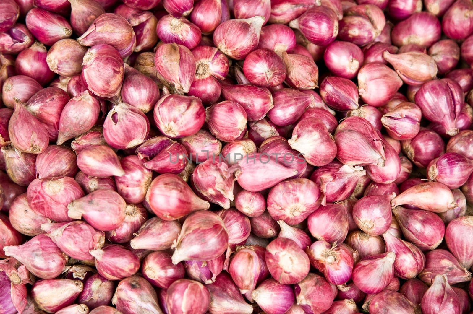 Onions on the market in Glodok,Jakarta