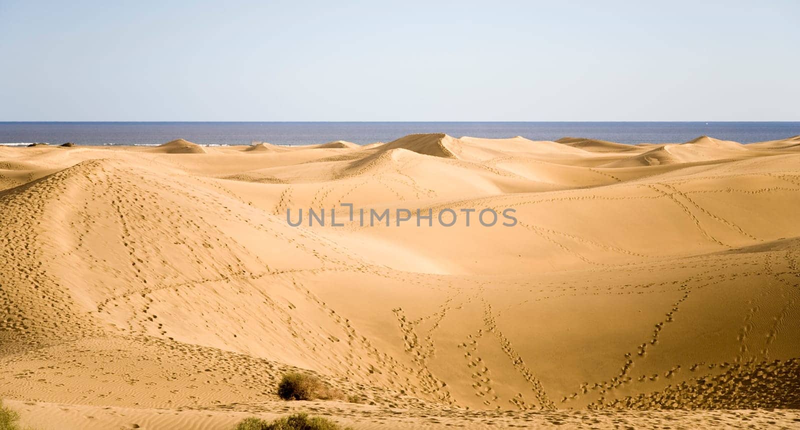 Sand dunes of Maspalomas in Gran Canaria, Spain