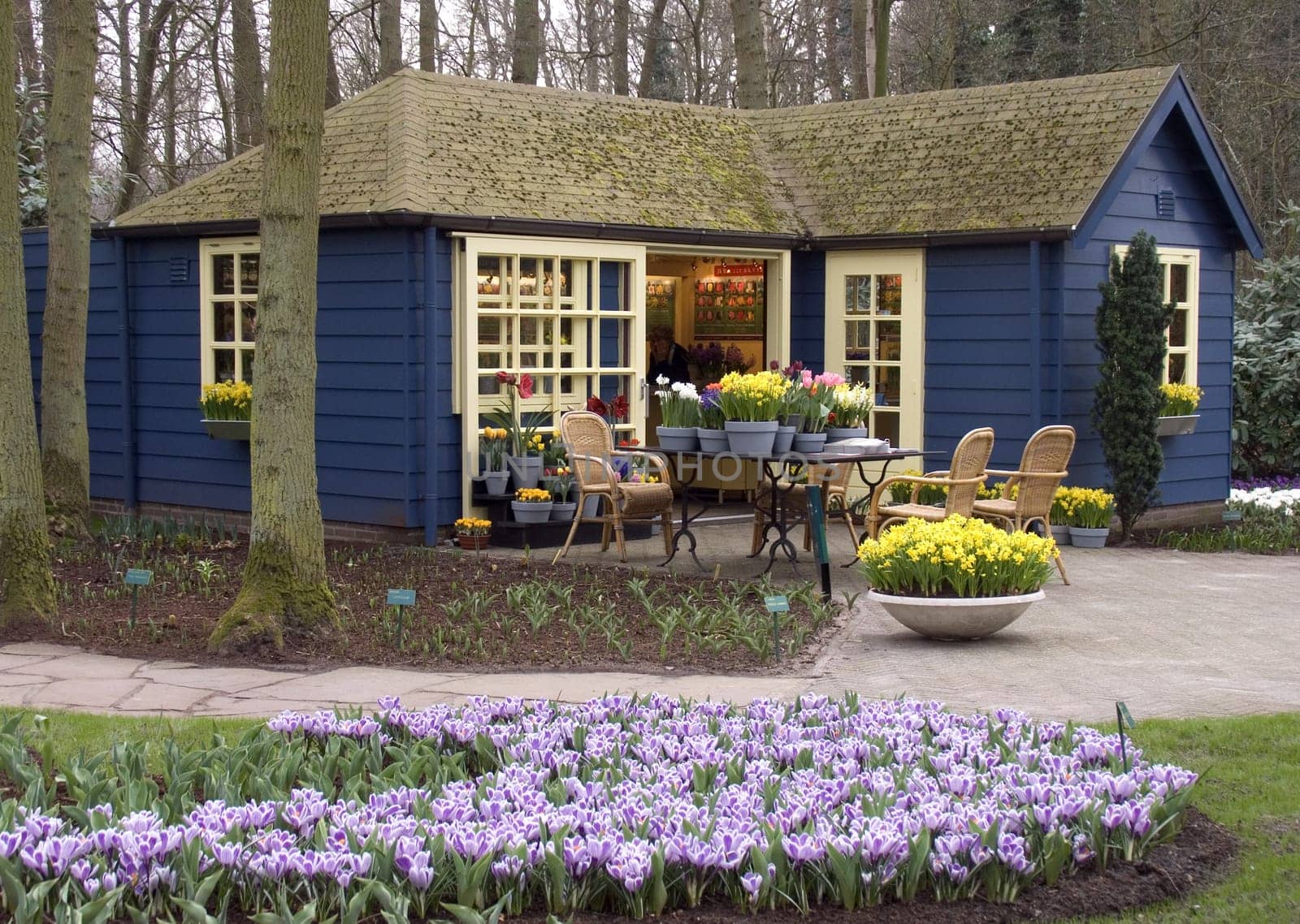 Dutch flower shop