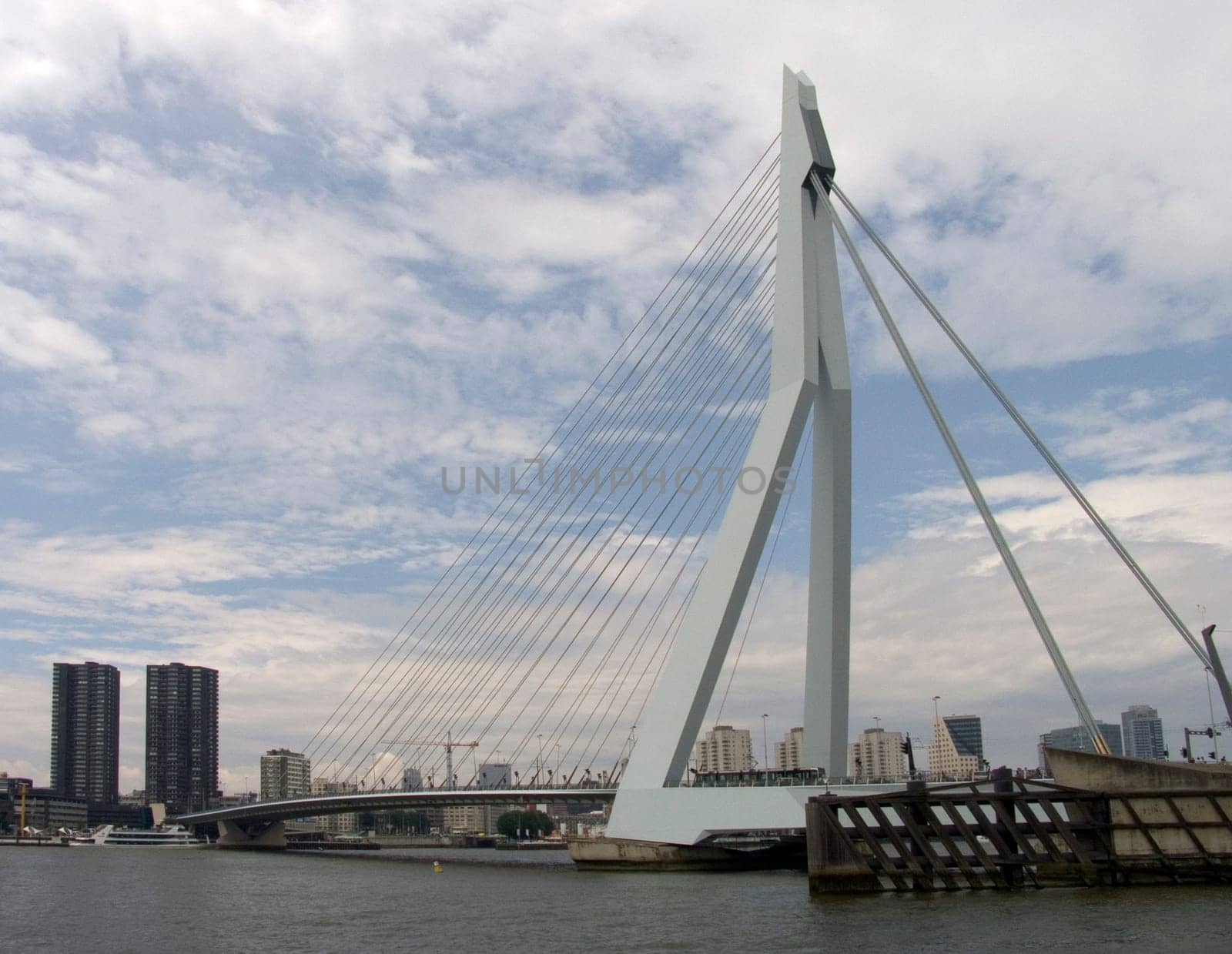 Erasmus bridge in Rotterdam, Holland