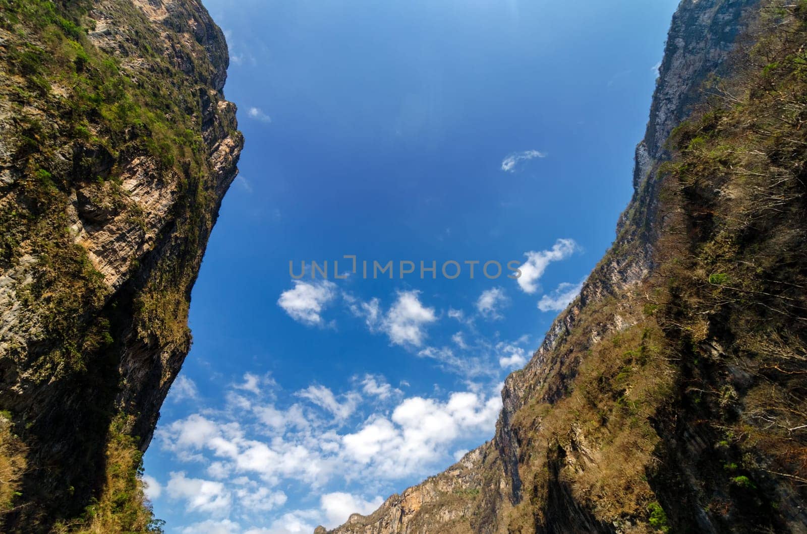 Looking up at the sky from deep within Sumidero Canyon in Mexico