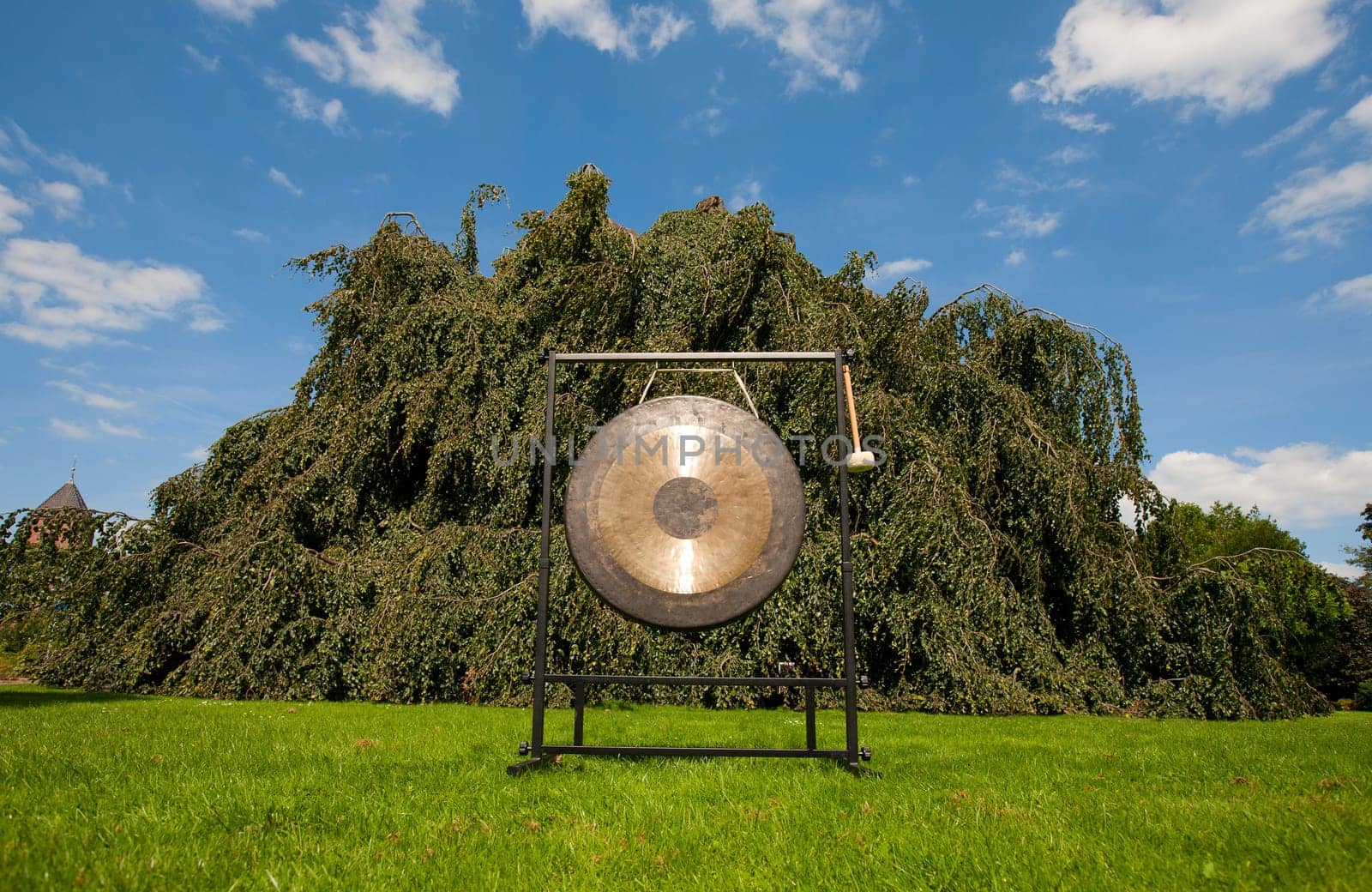 Gong used for sound healing the gong resonates all the cells of the body simultaneously and is usefull in resolving emotional and physical dissonance
