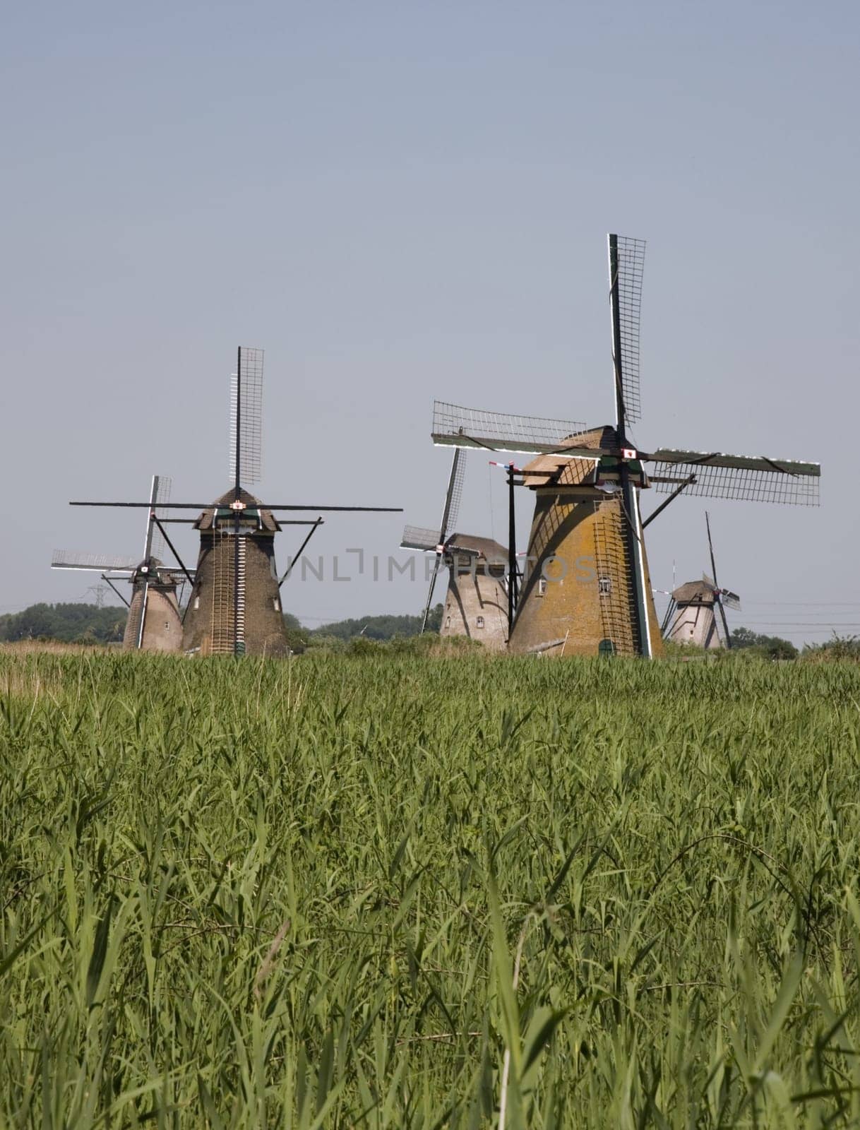 Dutch windmills in Kinderdijk, Holland