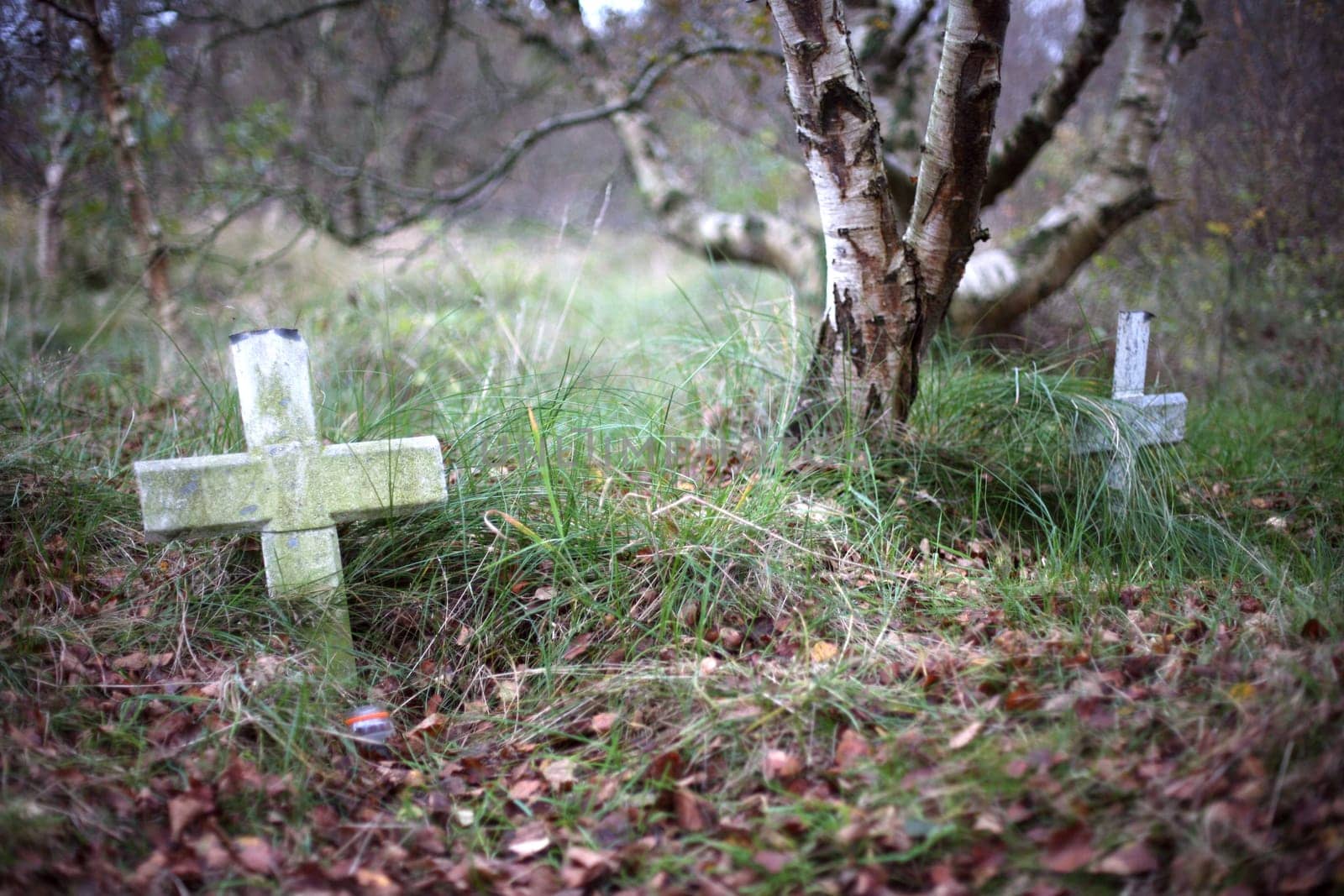 Old fisherman's graveyard at the Island Schiermonnikoog, Holland