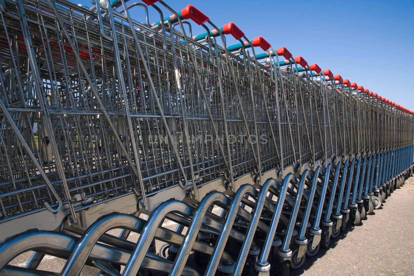 Shopping carts in a row