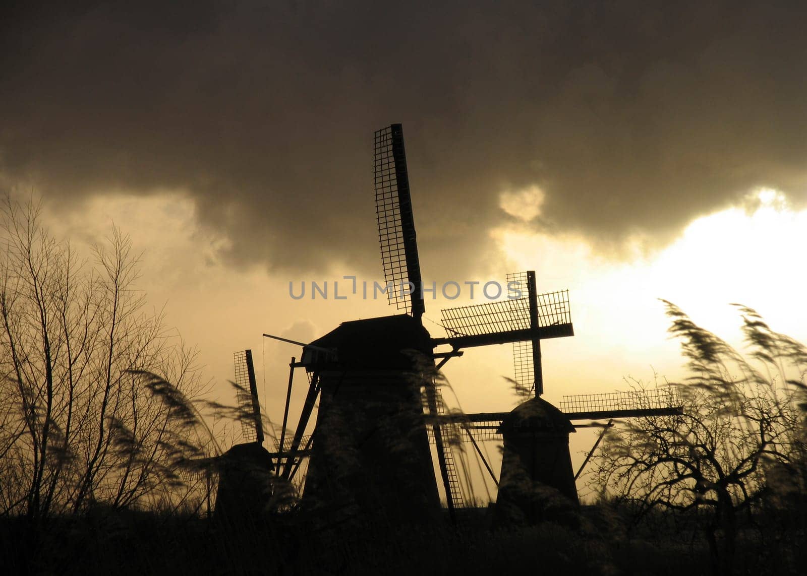 Dutch windmills in Kinderdijk, the Netherlands